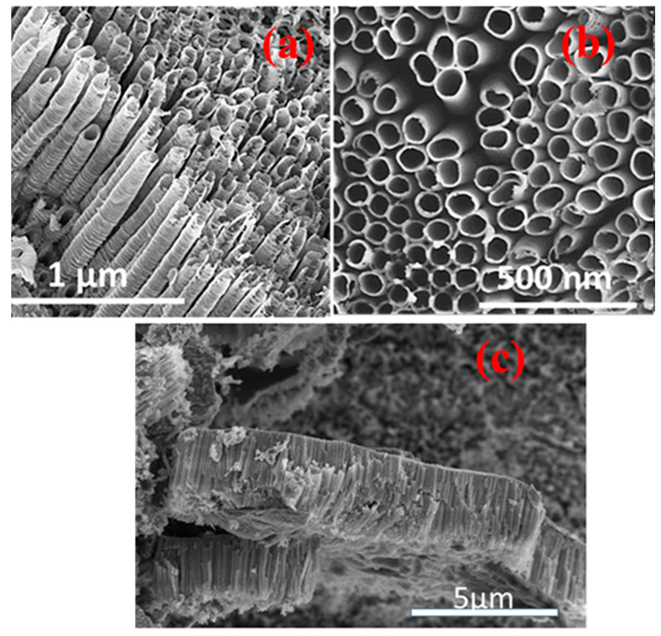 Sensors 17 01795 g001