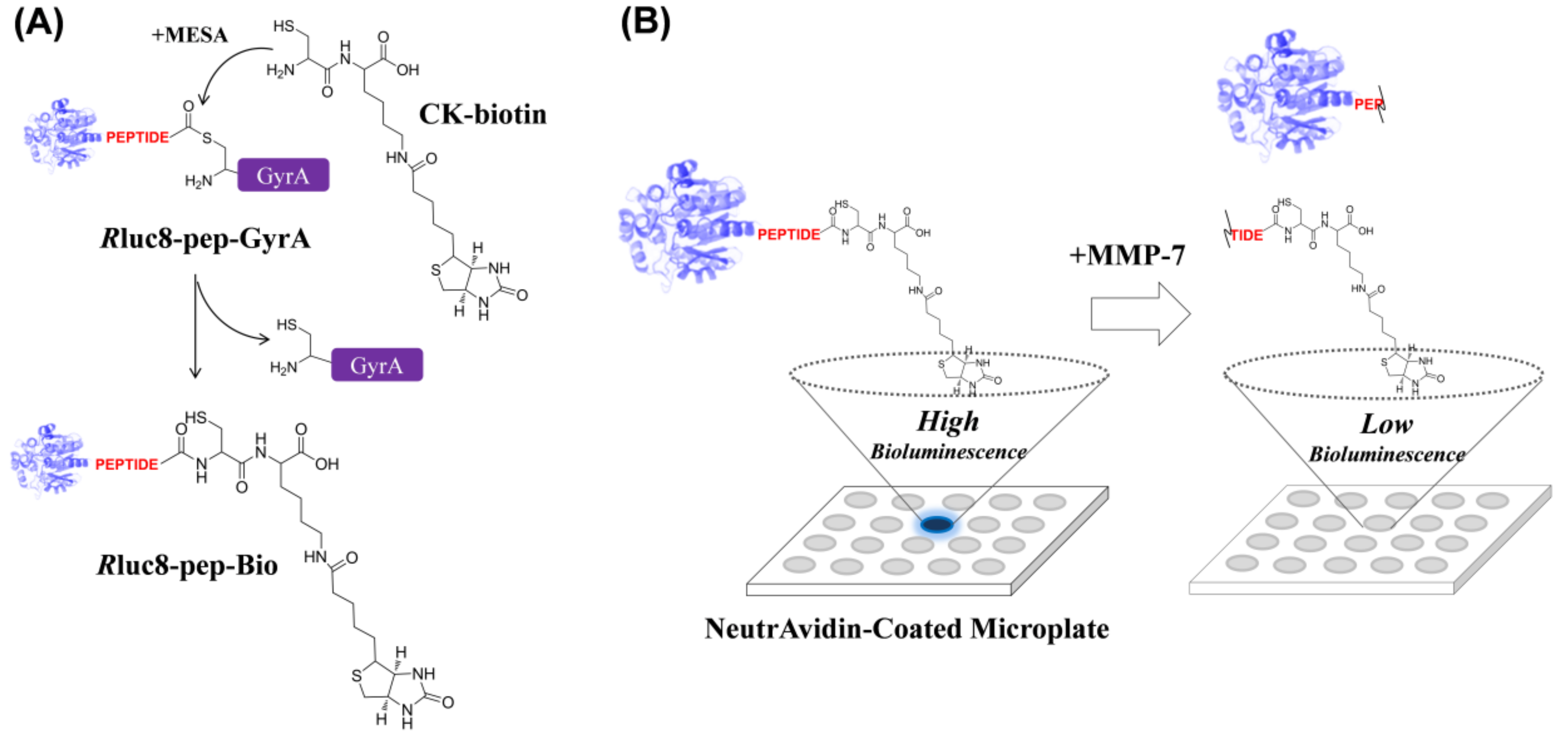 Sensors 18 00875 sch001