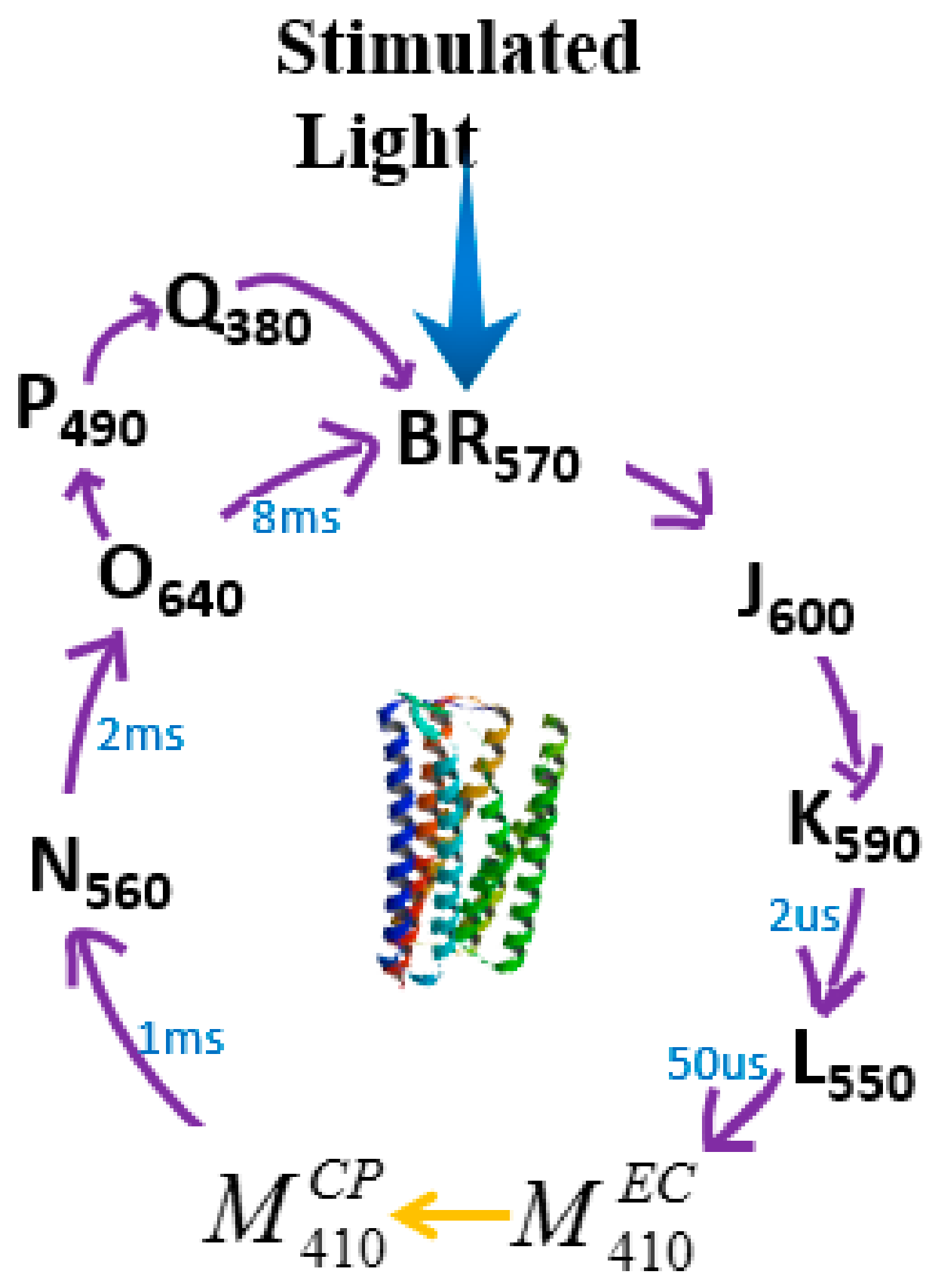 Sensors 18 01368 g004