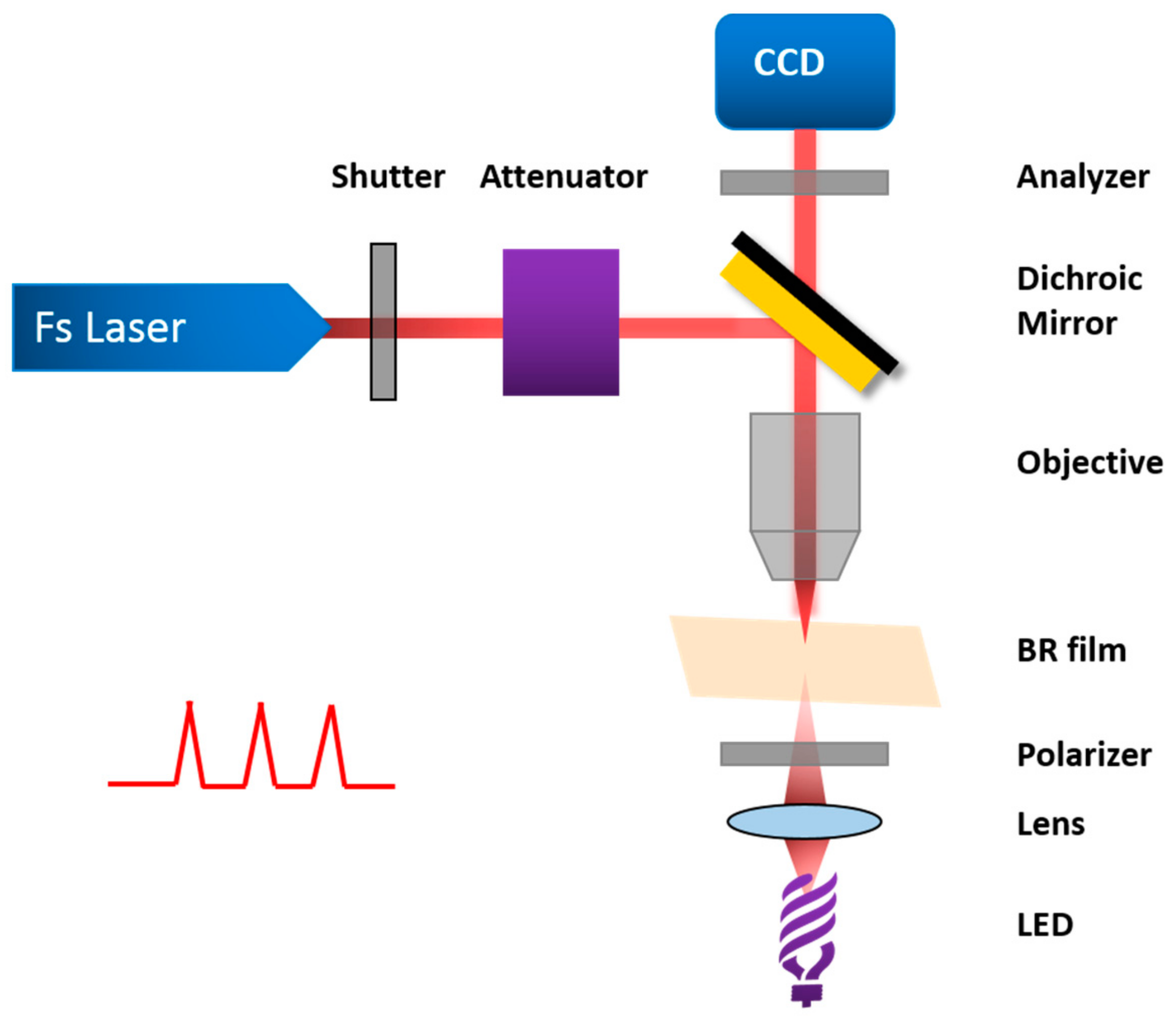 Sensors 18 01368 g008