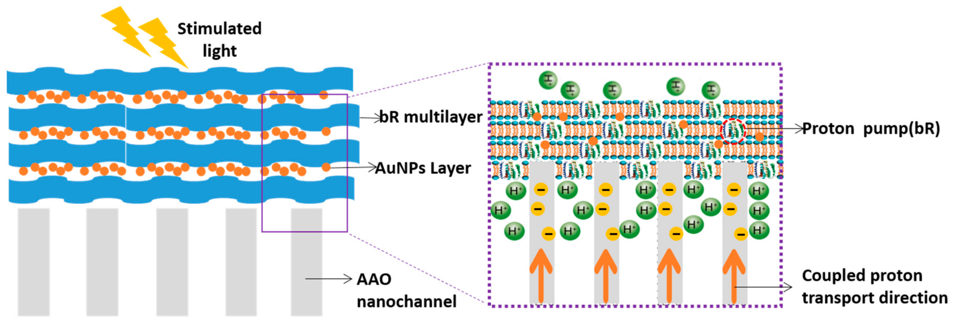 Sensors 18 01368 g015
