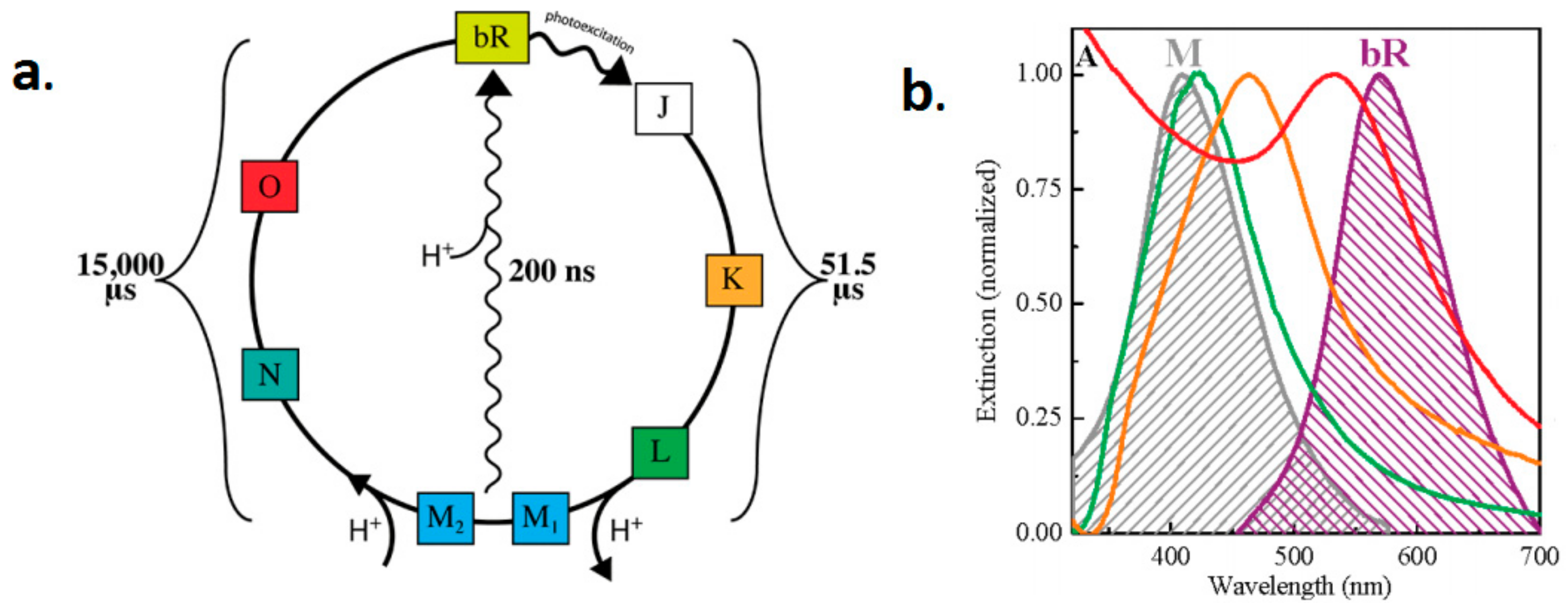 Sensors 18 01368 g017