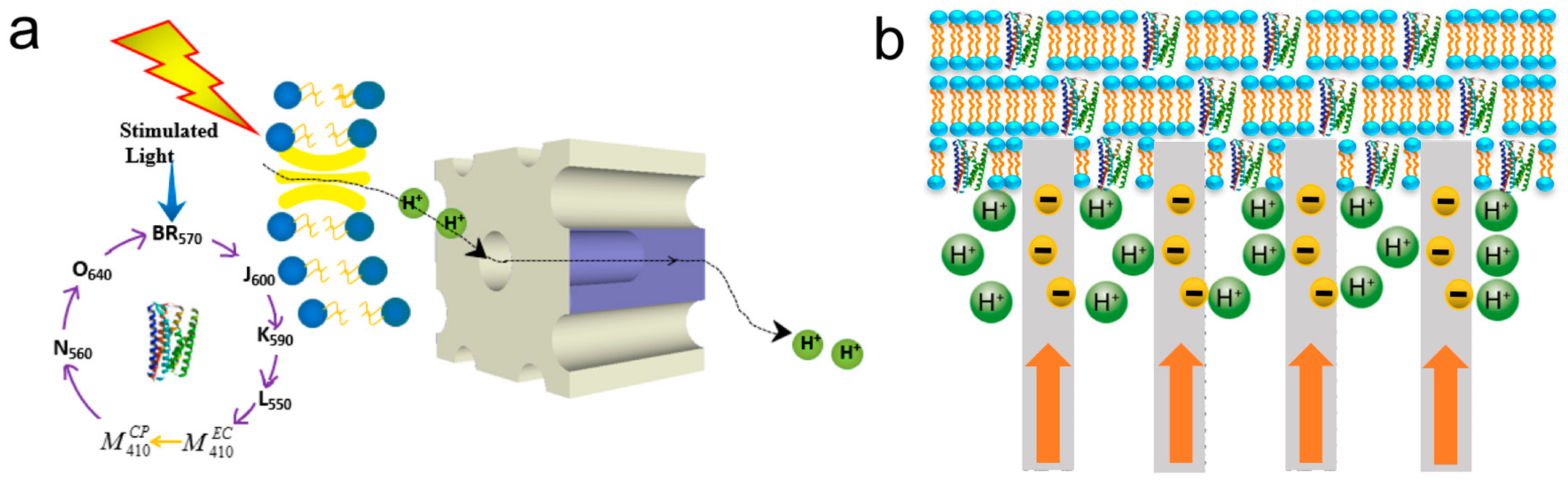 Sensors 18 01368 g018