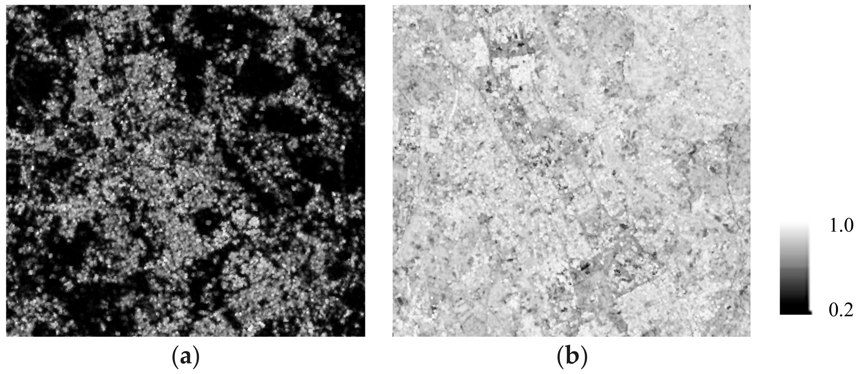 Sensors 18 02336 g006