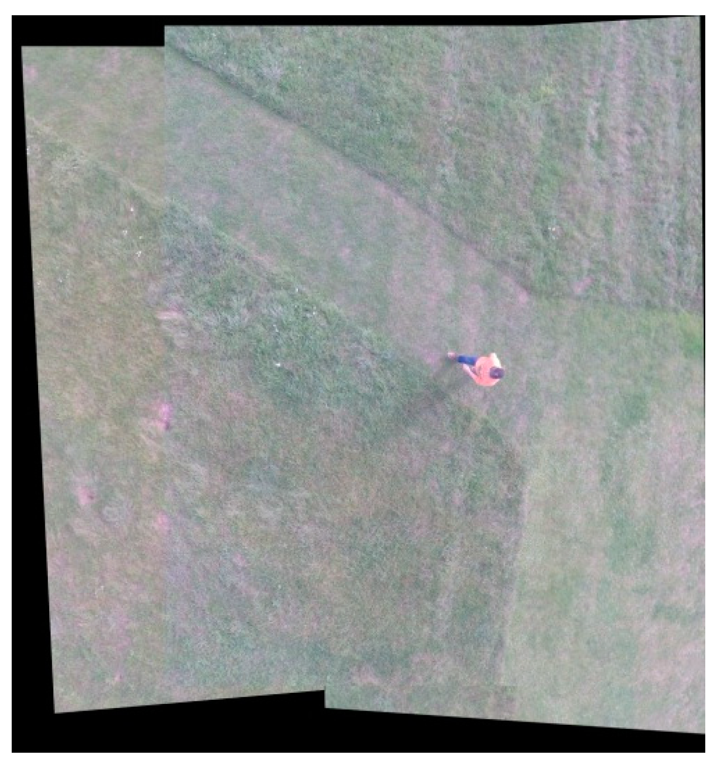 Sensors 18 02433 g010