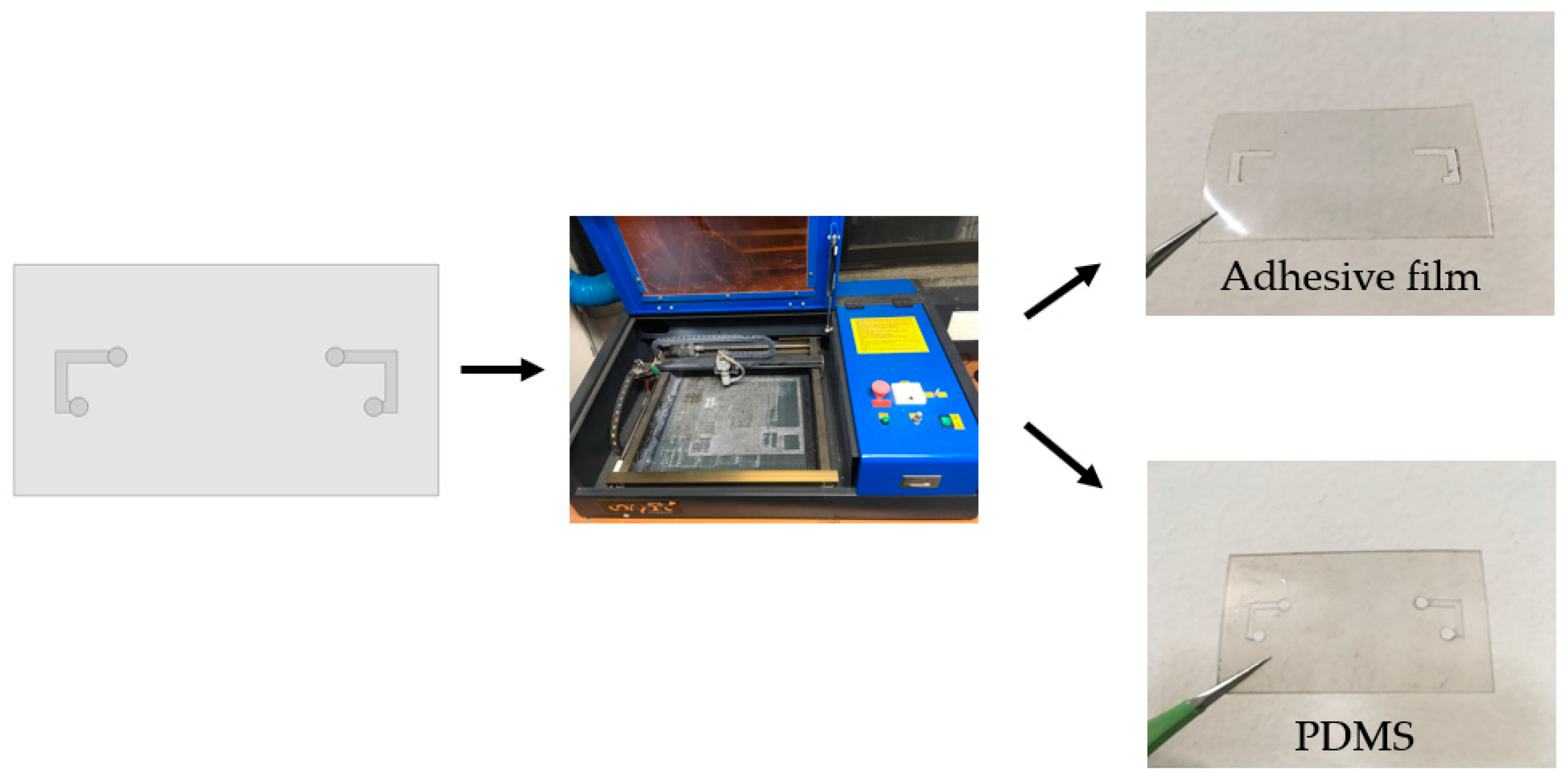 Sensors 18 03176 g005