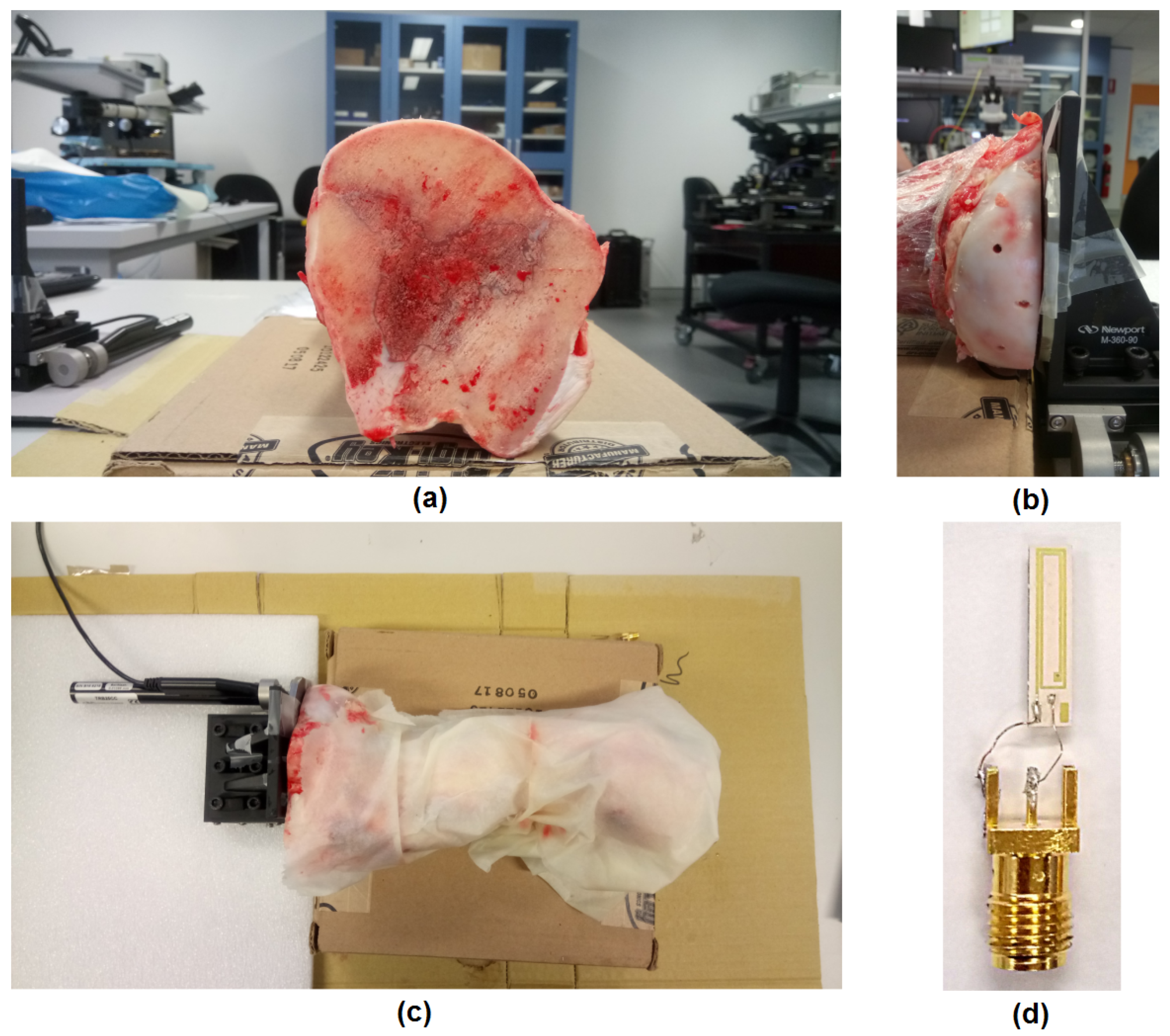 Sensors 18 03888 g004