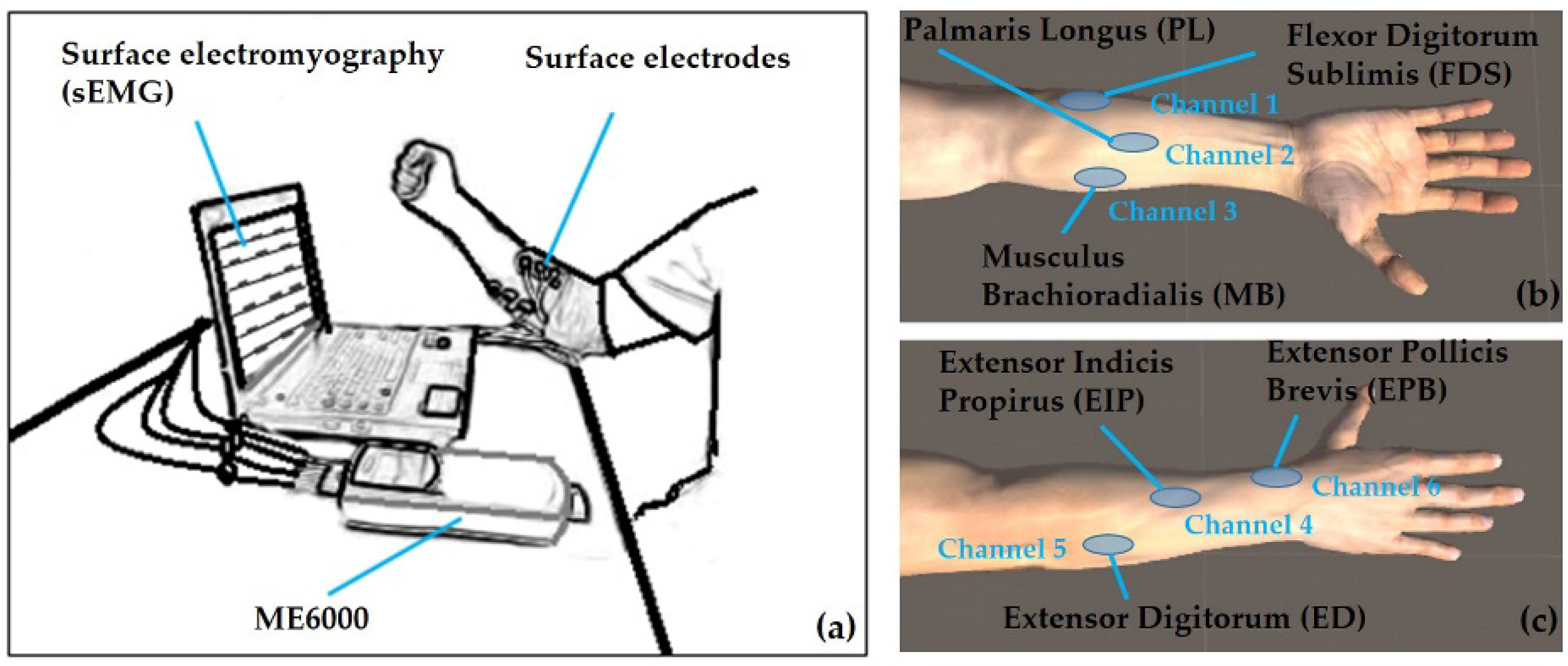 Sensors 19 00610 g001
