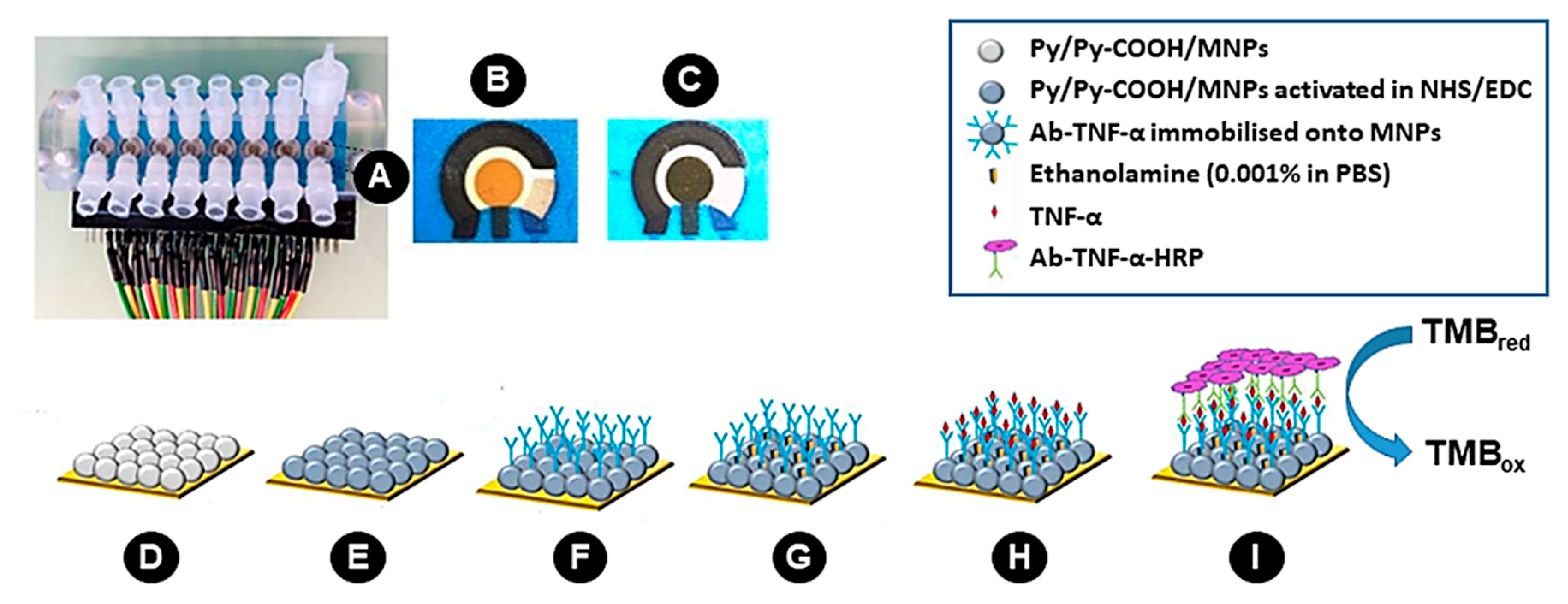Sensors 19 00692 g001