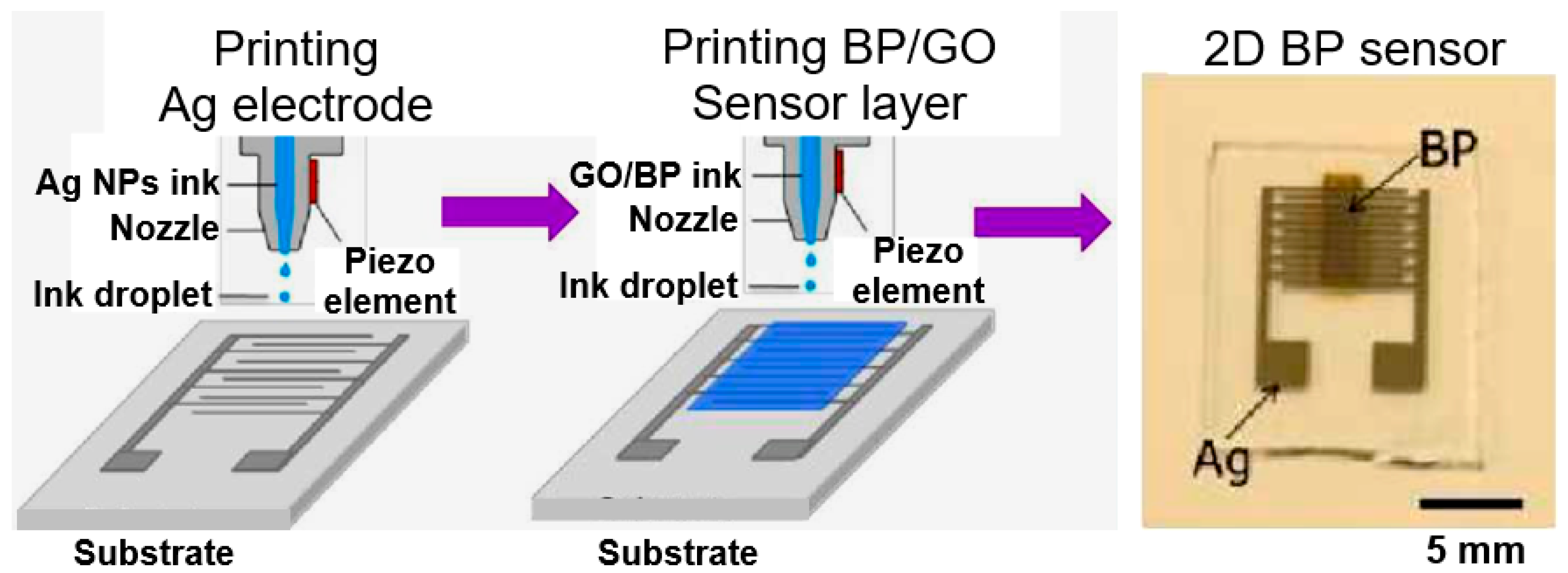 Sensors 19 01010 g013
