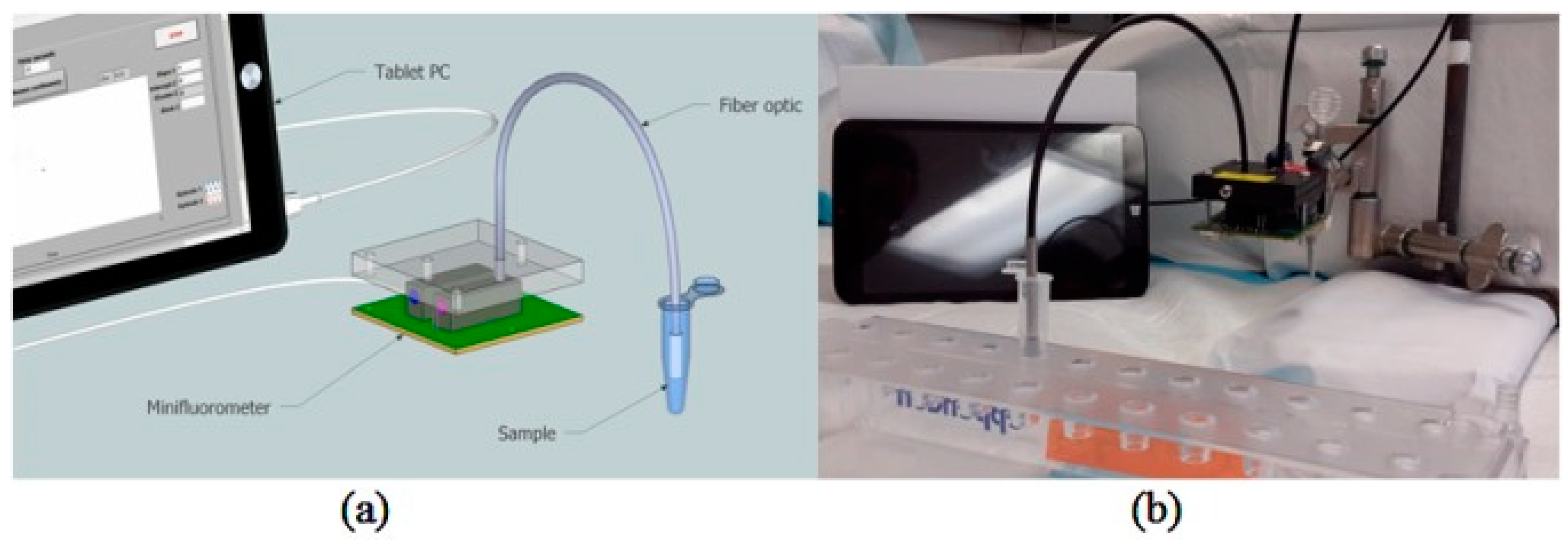 Sensors 19 01151 g006