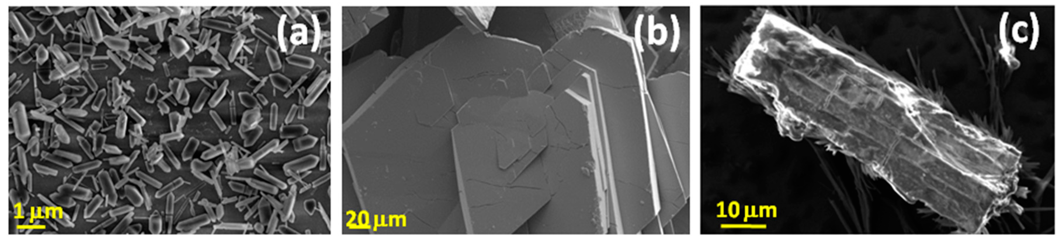 Sensors 19 01260 g002