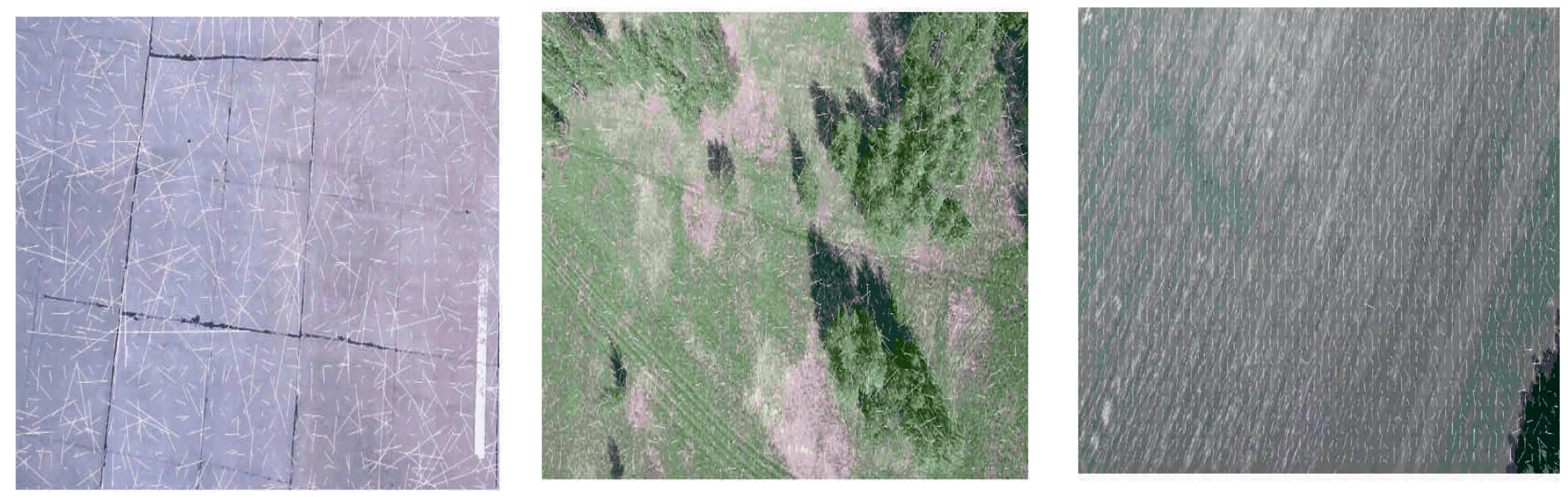 Sensors 19 01351 g003