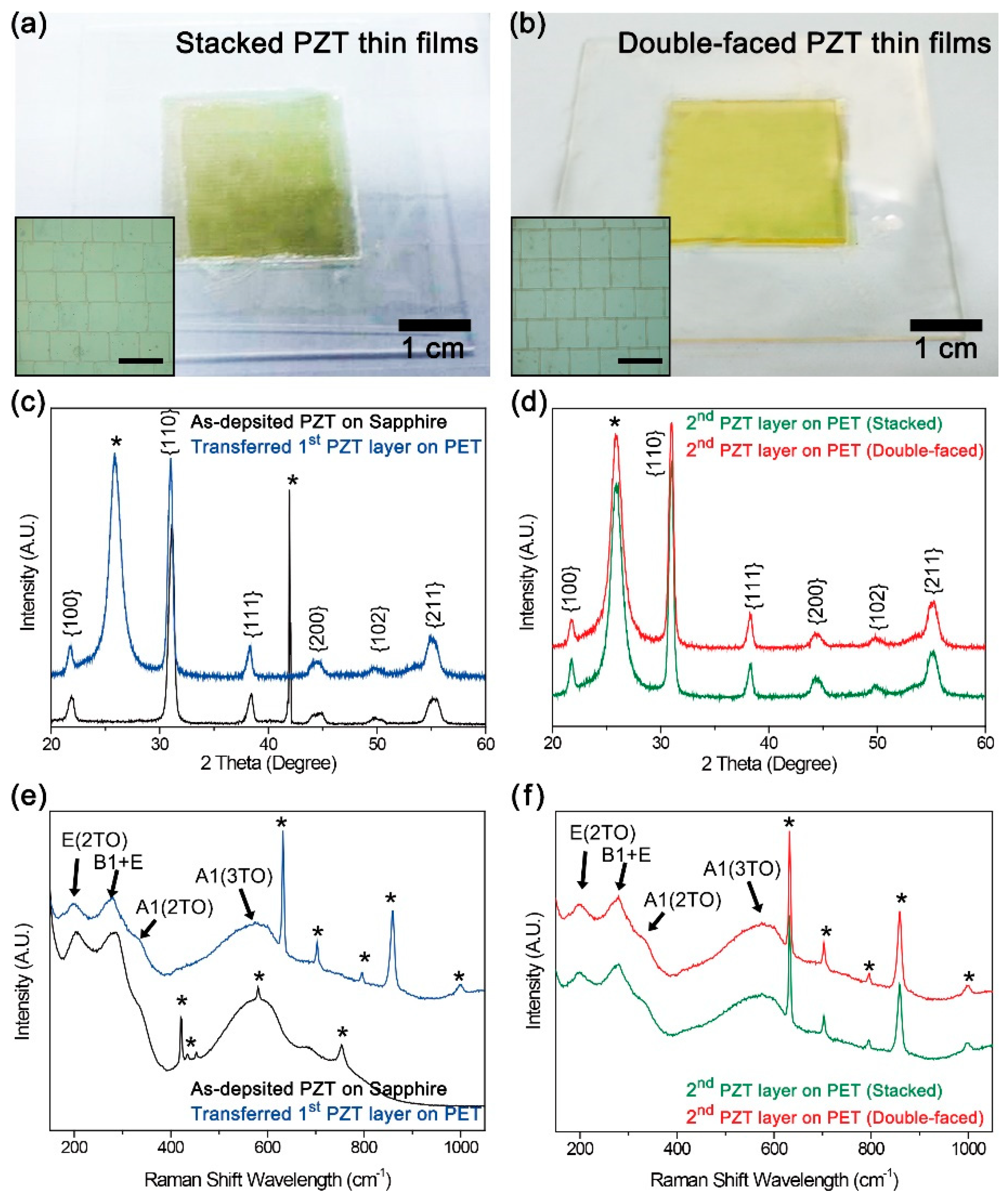 Sensors 19 01444 g002