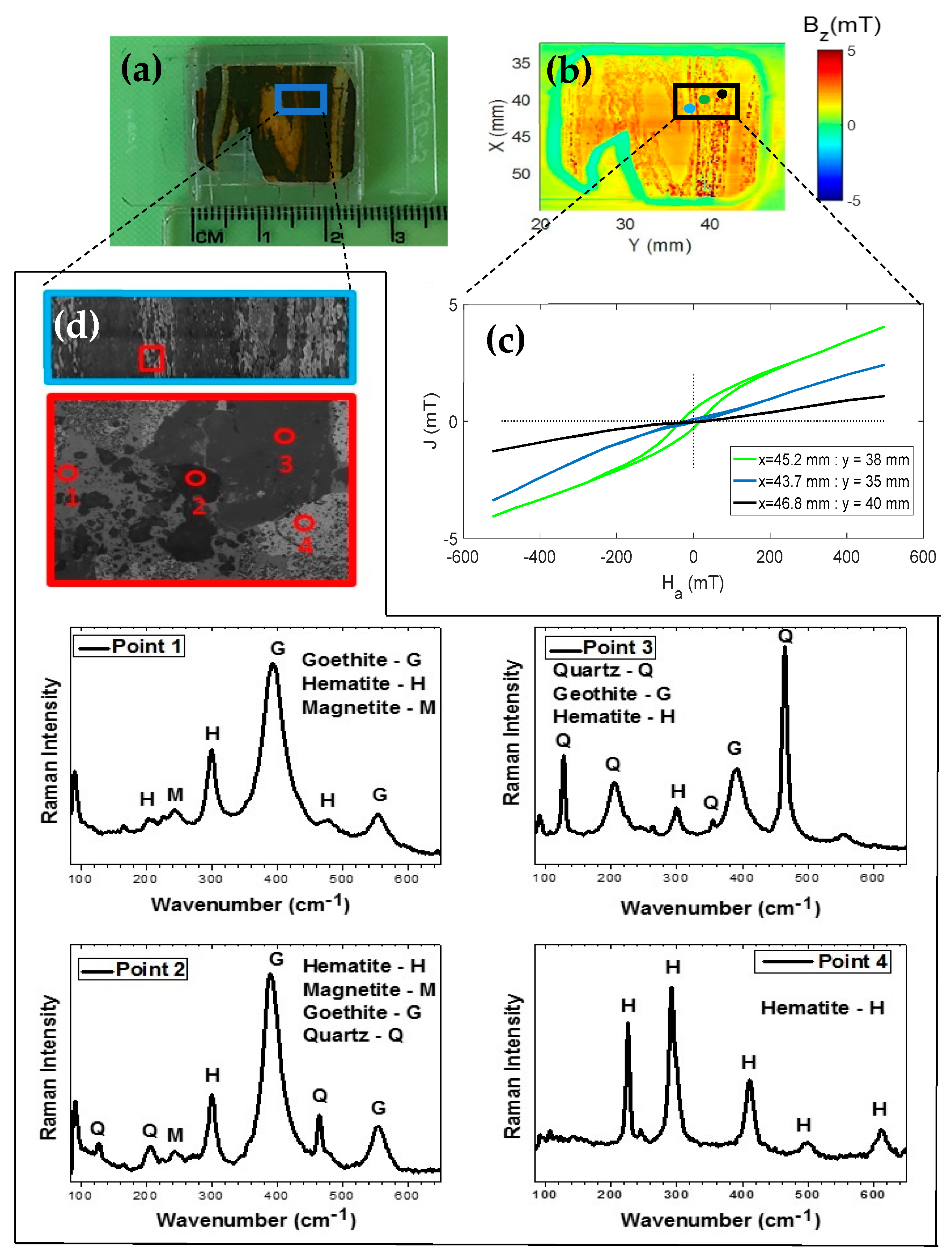 Sensors 19 01636 g005