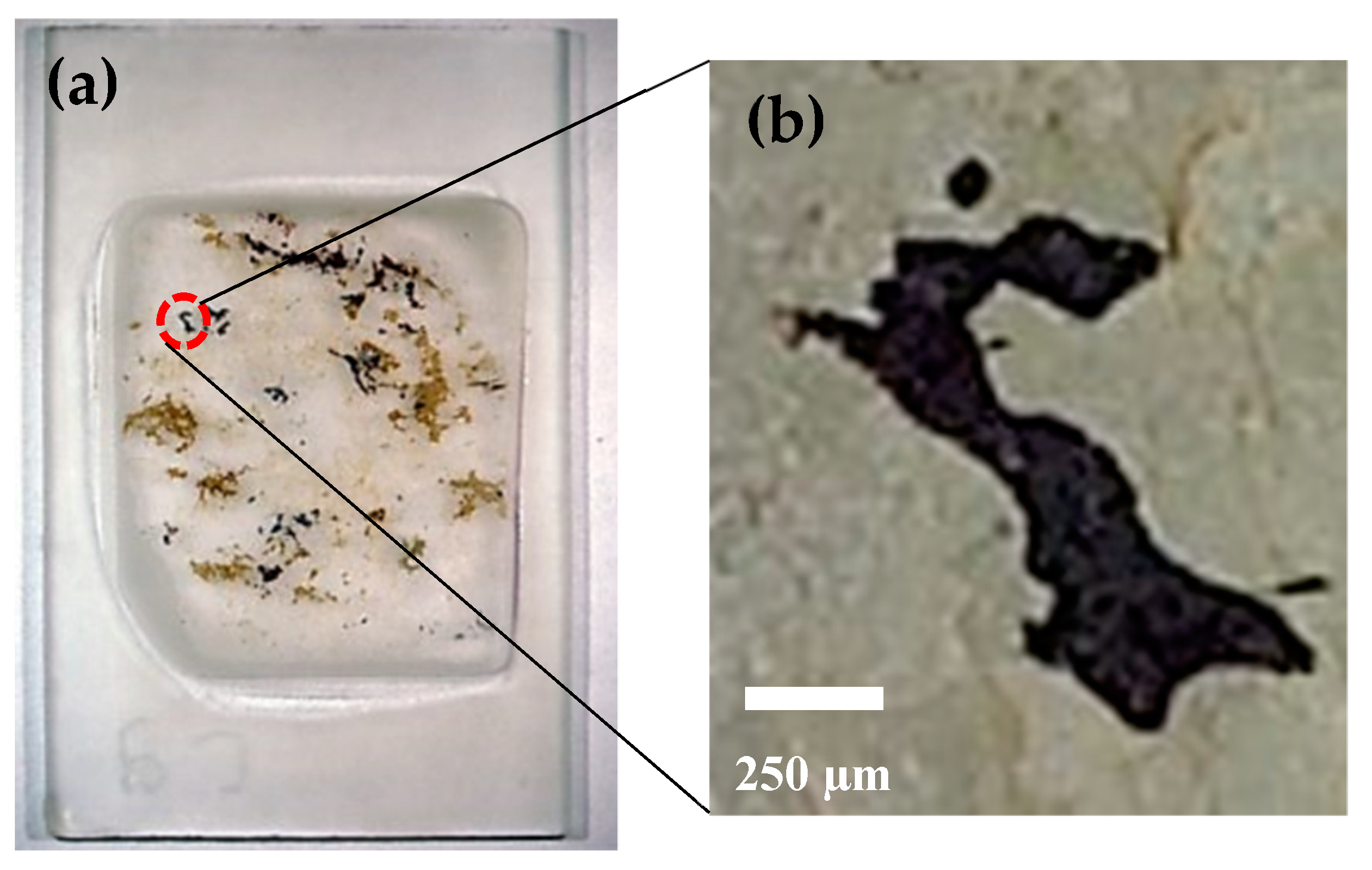 Sensors 19 01636 g006