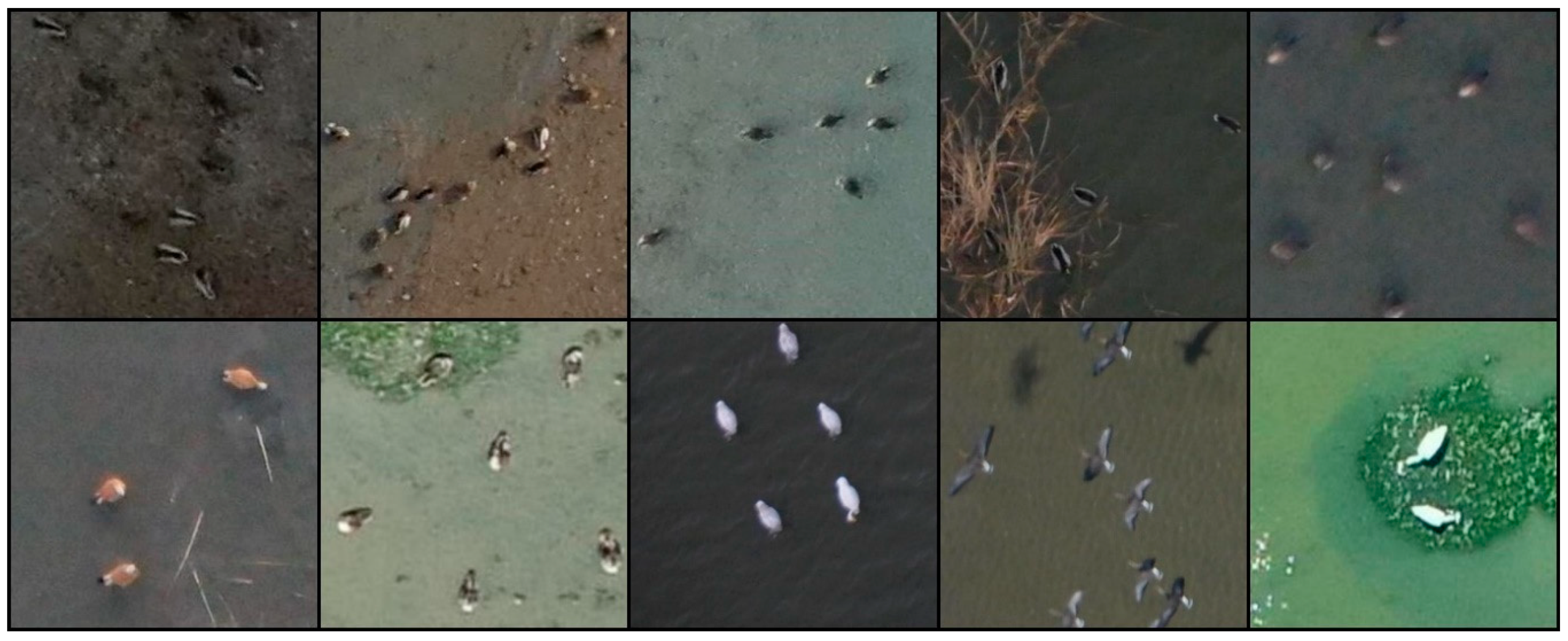 Sensors 19 01651 g003