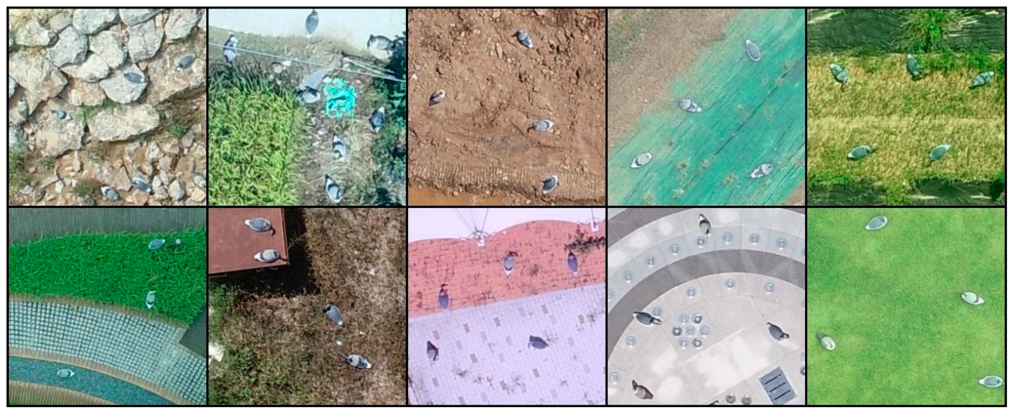 Sensors 19 01651 g006