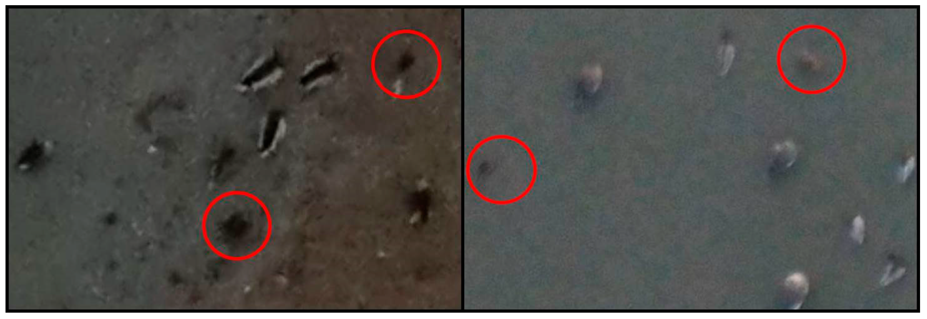 Sensors 19 01651 g012