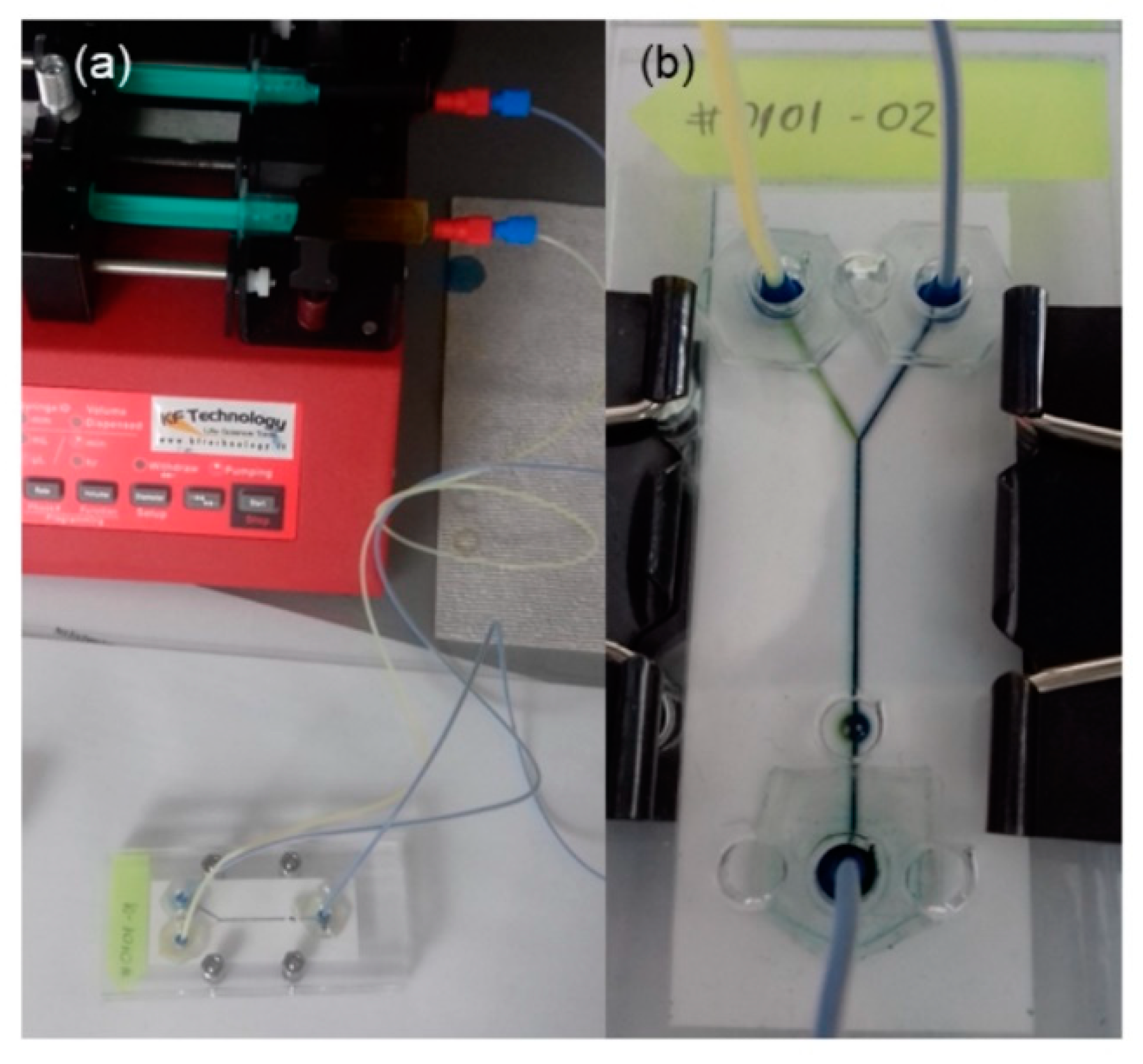 Sensors 19 01719 g013