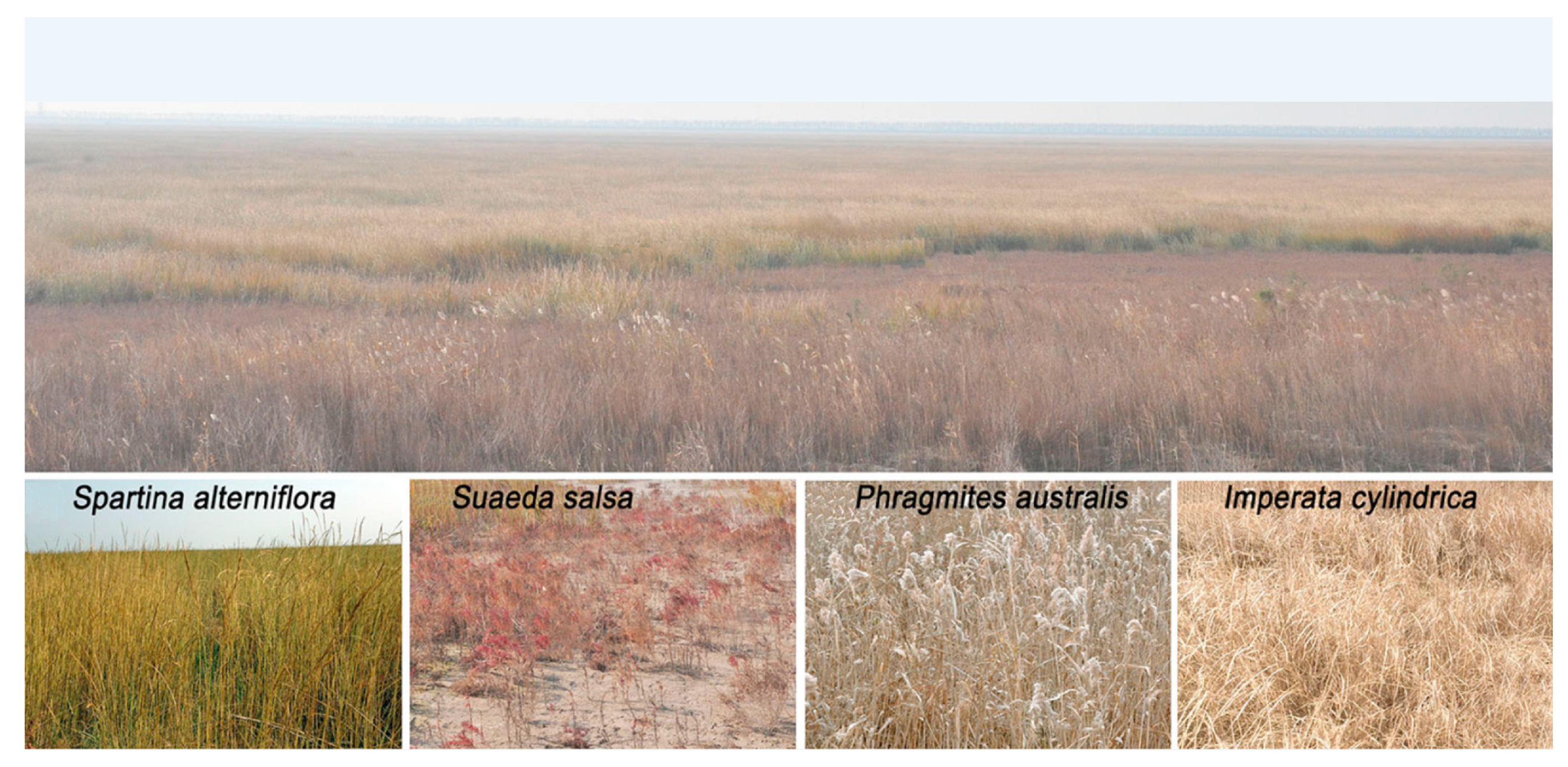 Sensors 19 01933 g003