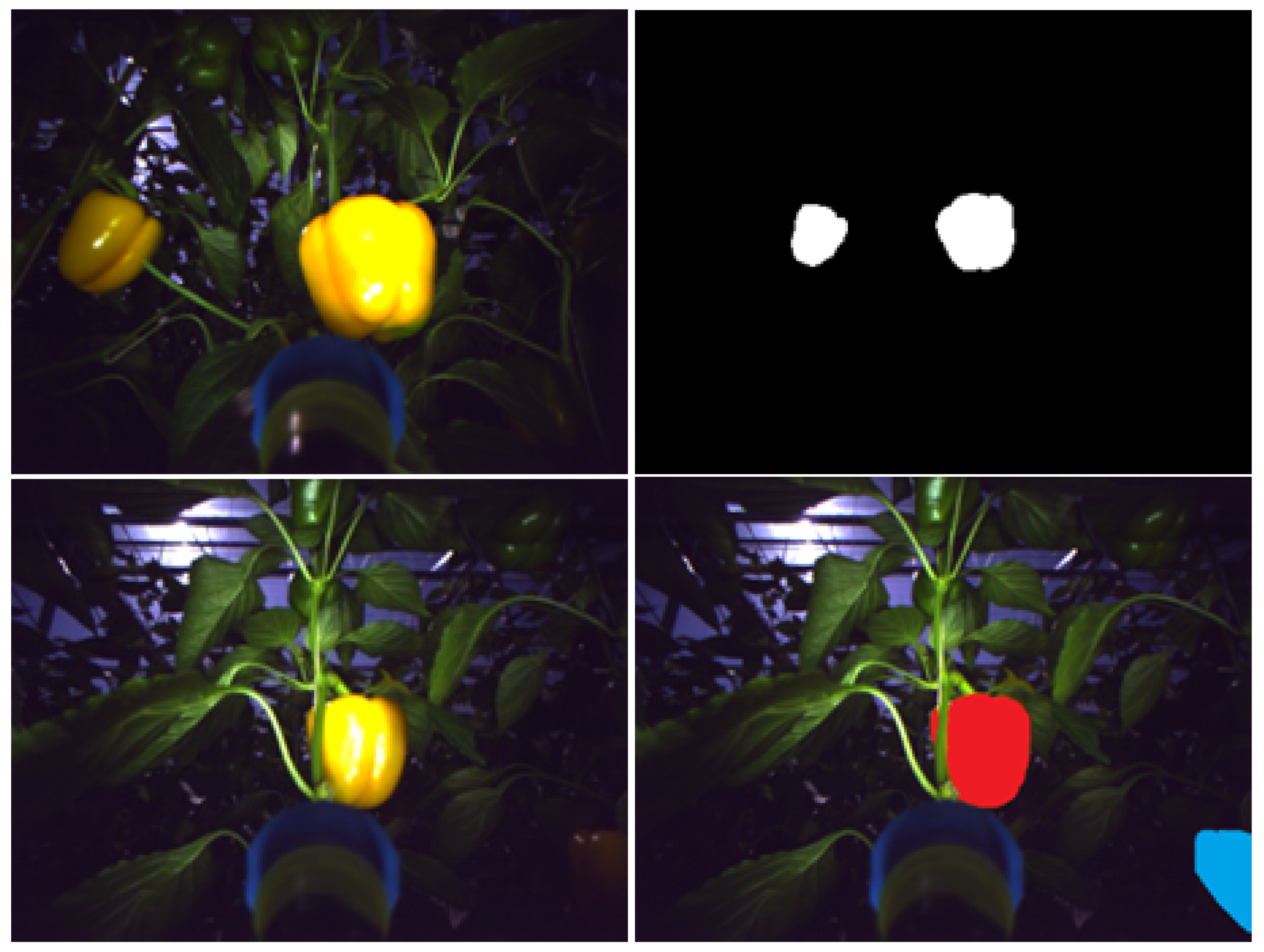 Sensors 19 02130 g003 Sensors 19 02130 g003