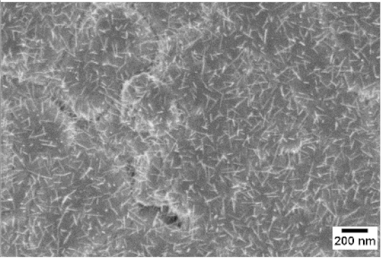 Sensors 19 02332 i006