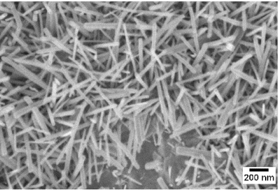 Sensors 19 02332 i018