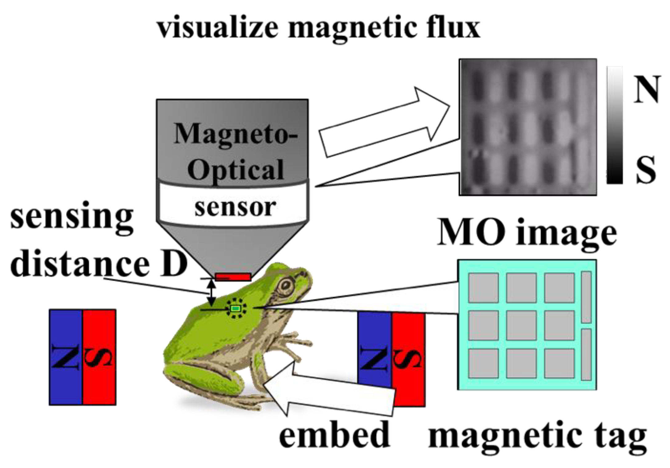 Sensors 19 03254 g002