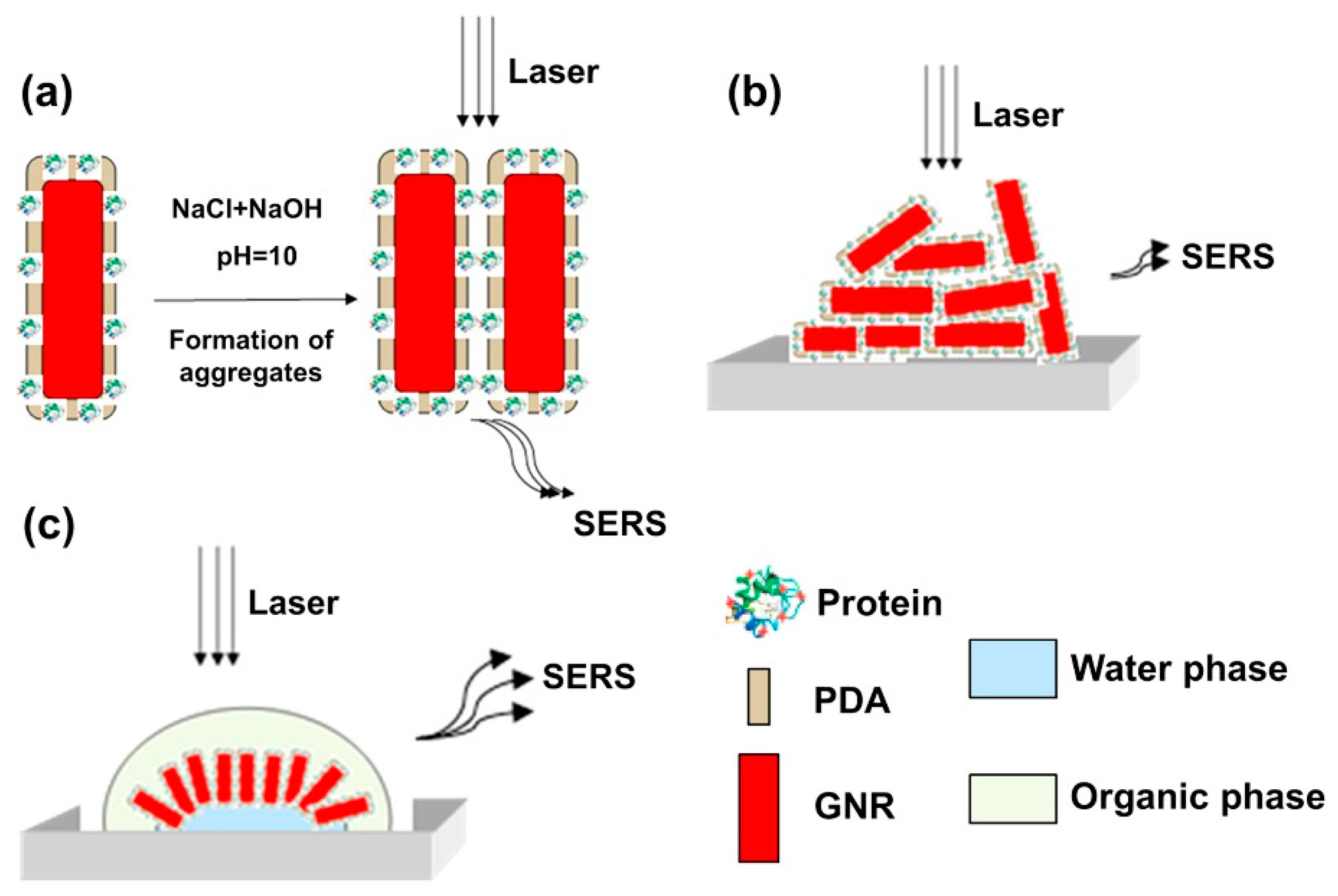 Sensors 19 03485 g006 Sensors 19 03485 g006