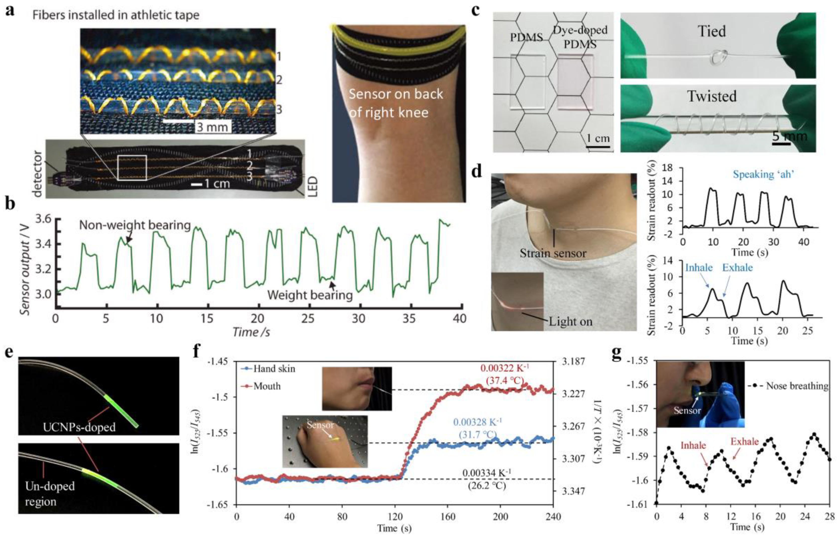 Sensors 19 03771 g006 Sensors 19 03771 g006