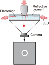 Sensors 19 03933 i003 Sensors 19 03933 i003