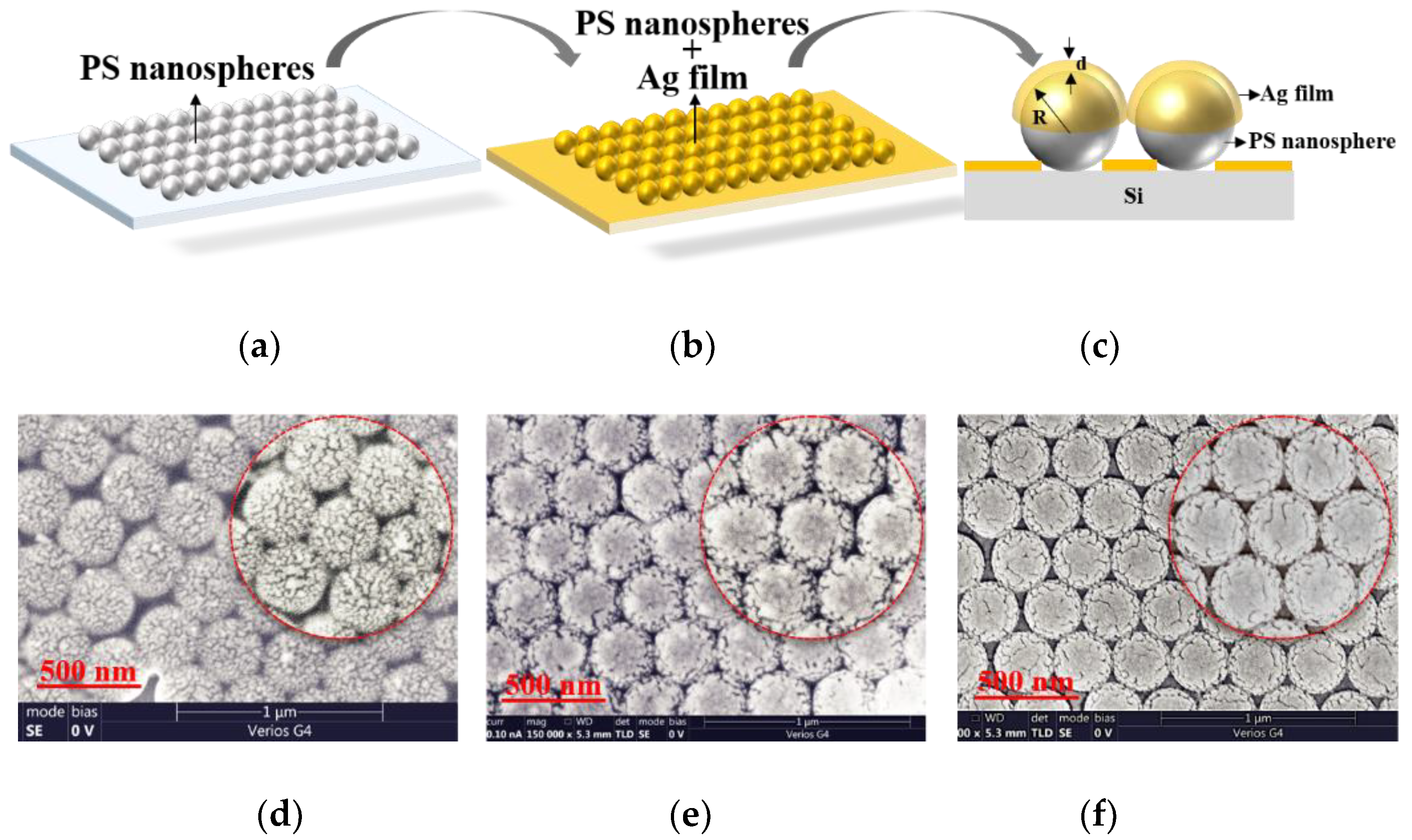 Sensors Free Full Text Surface Enhanced Raman Spectroscopy Based On