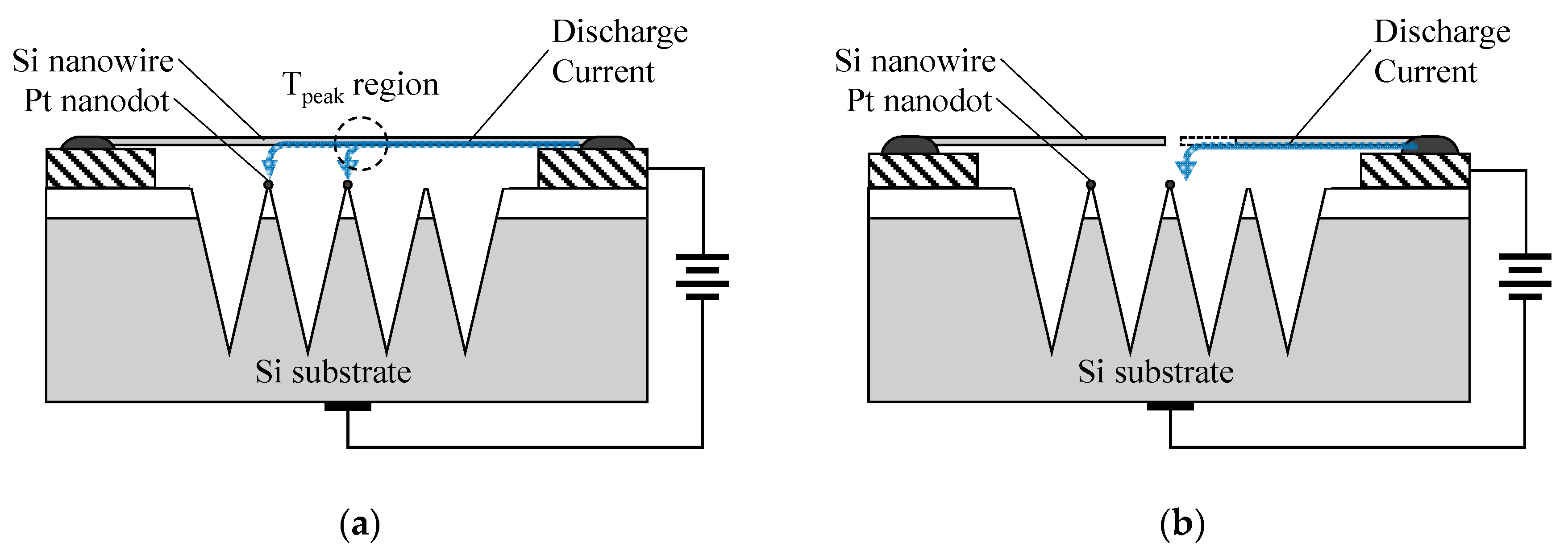 Sensors 19 04358 g005