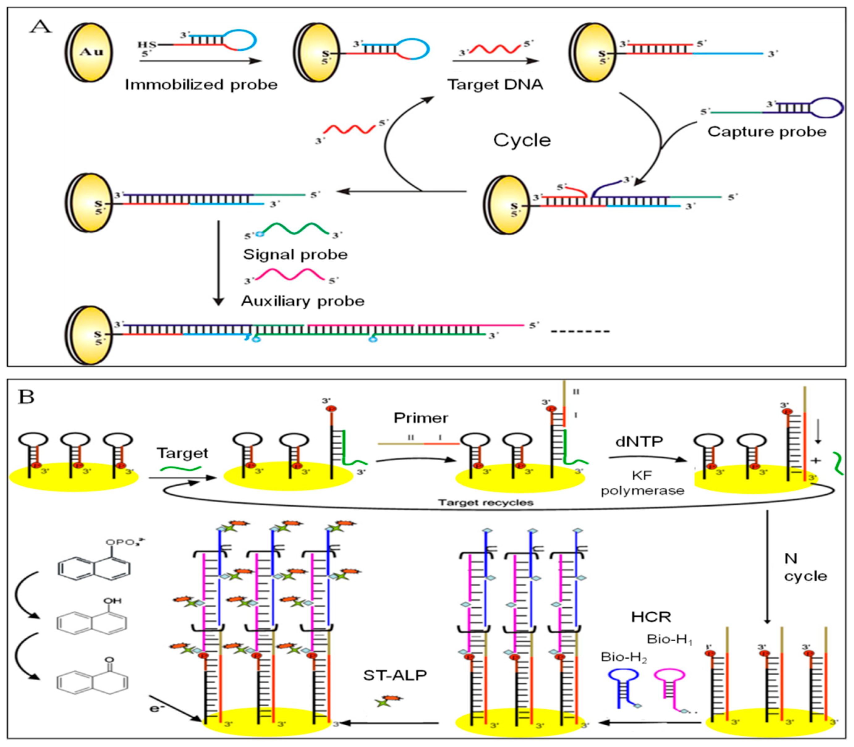 Sensors 19 04916 g009