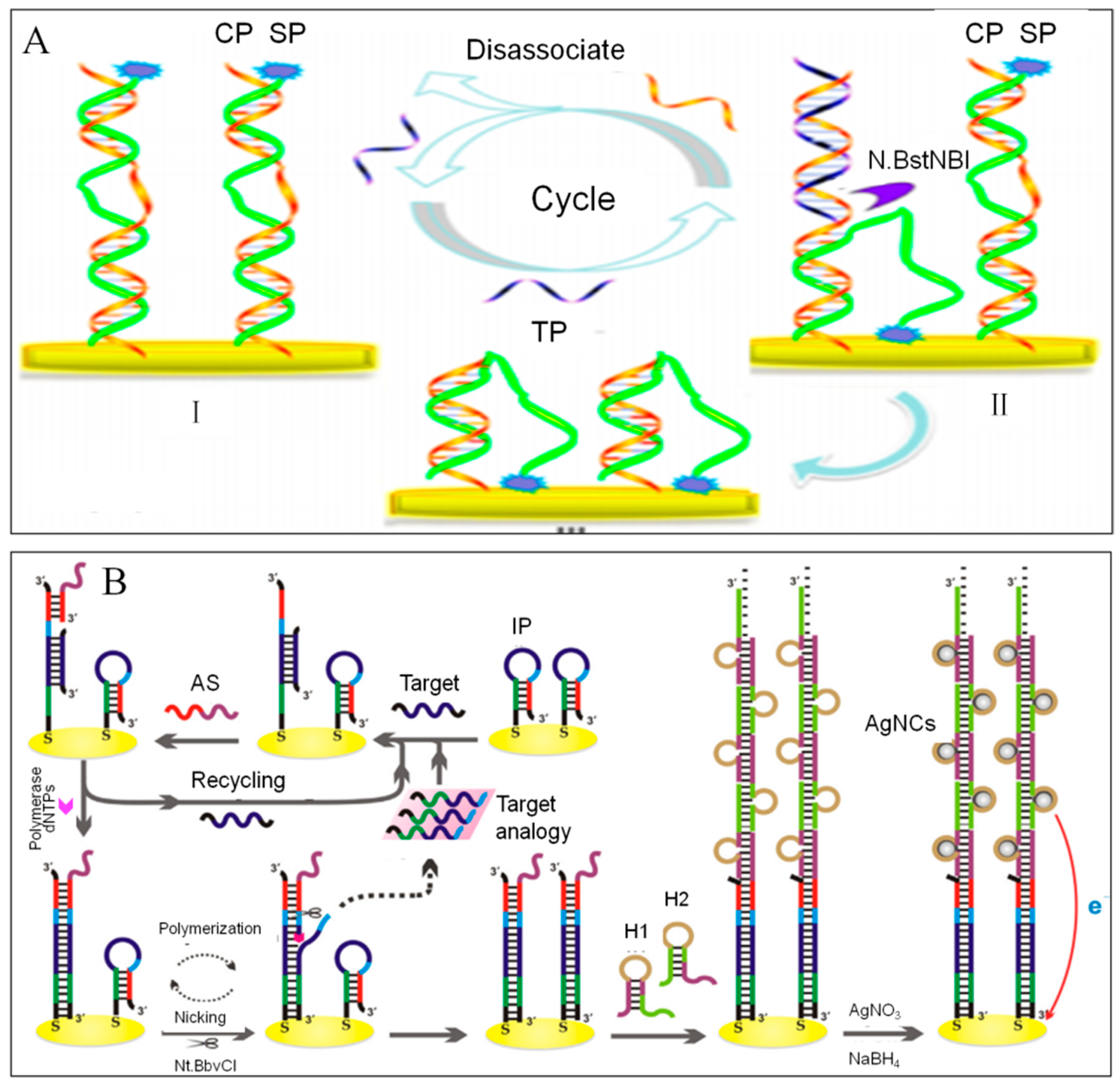 Sensors 19 04916 g011