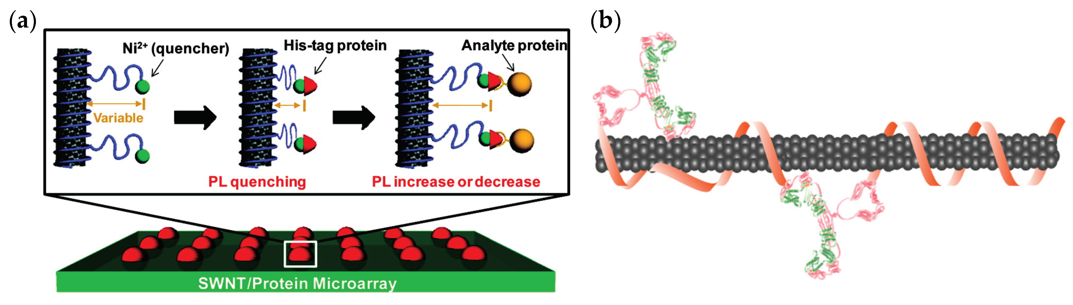 Sensors 19 05403 g002 Sensors 19 05403 g002