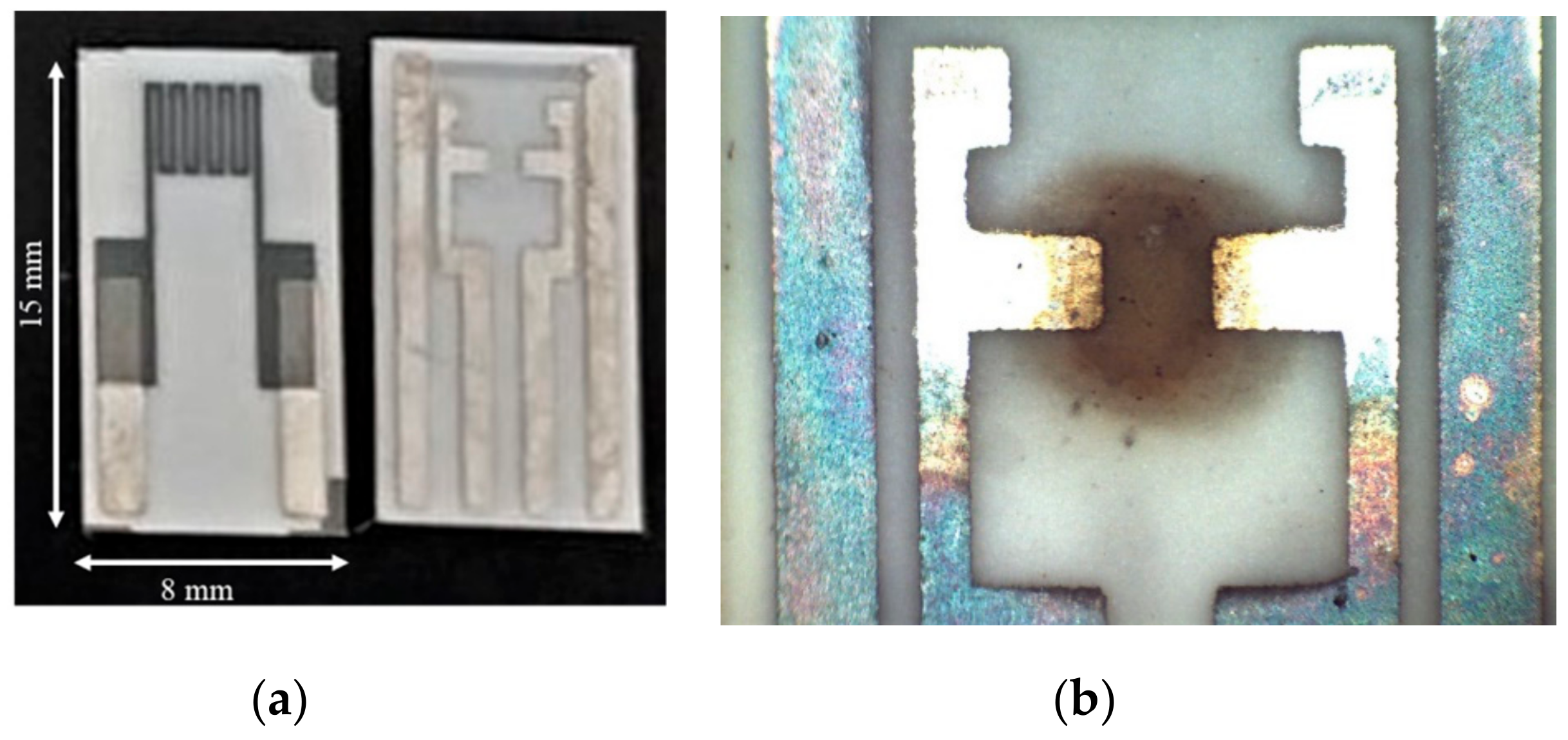 Sensors 20 00012 g001