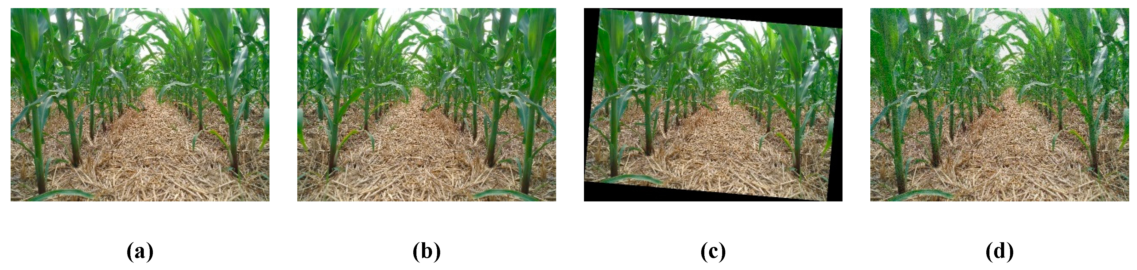 Sensors 20 00797 g004 Sensors 20 00797 g004