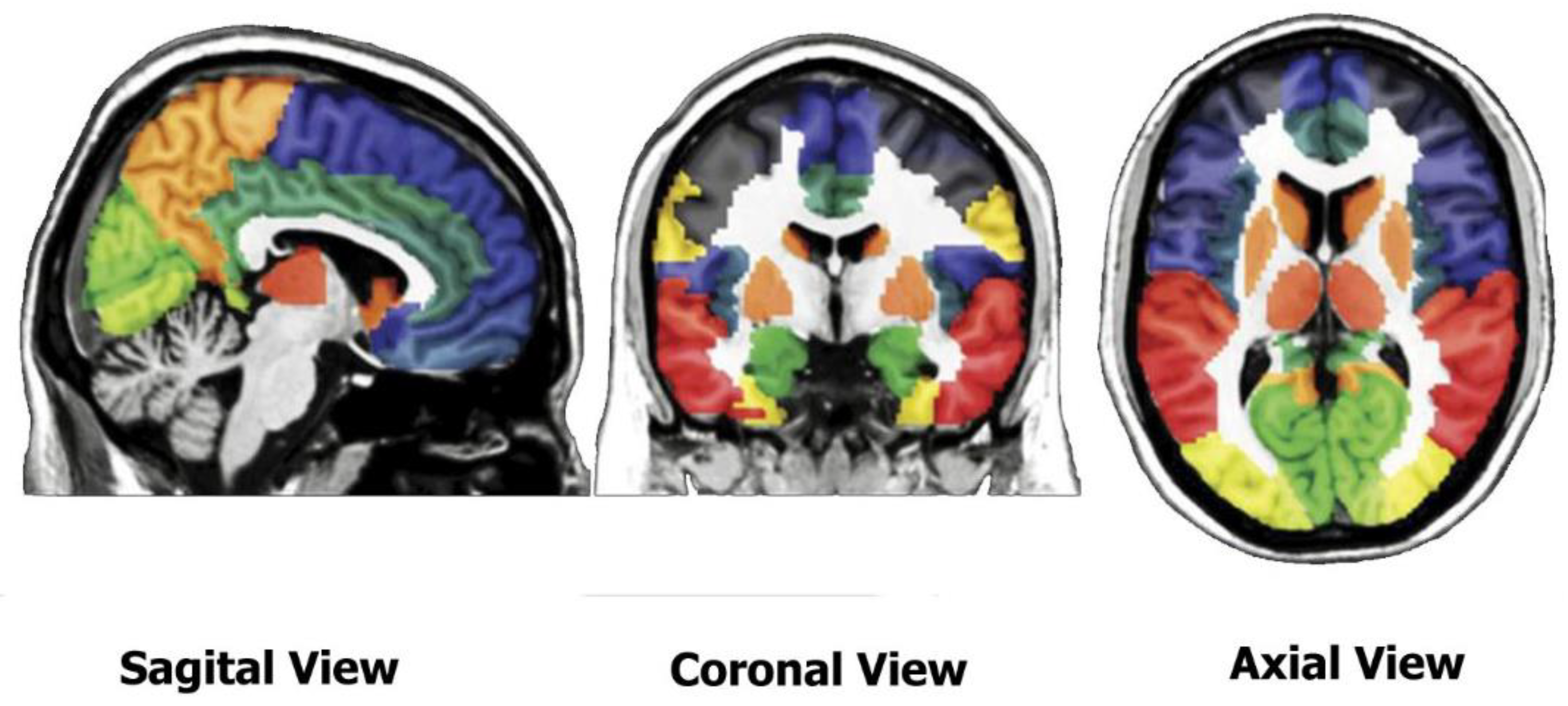Sensors 20 00941 g002 Sensors 20 00941 g002