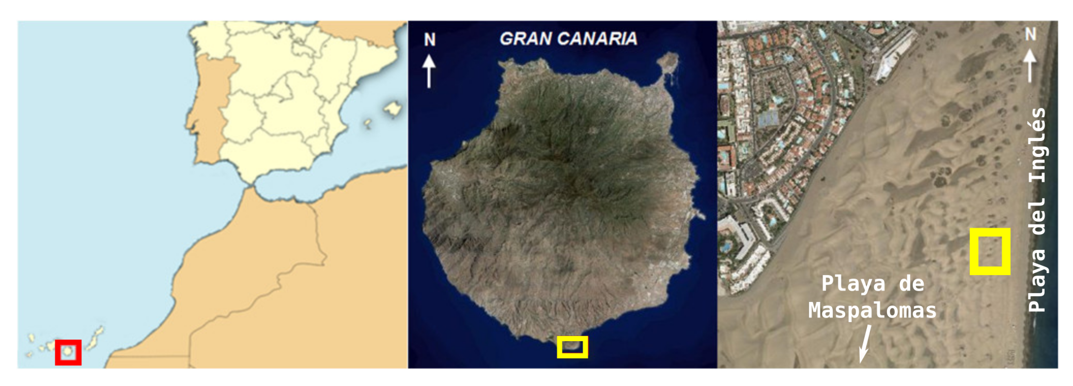 Sensors 20 01064 g008 Sensors 20 01064 g008