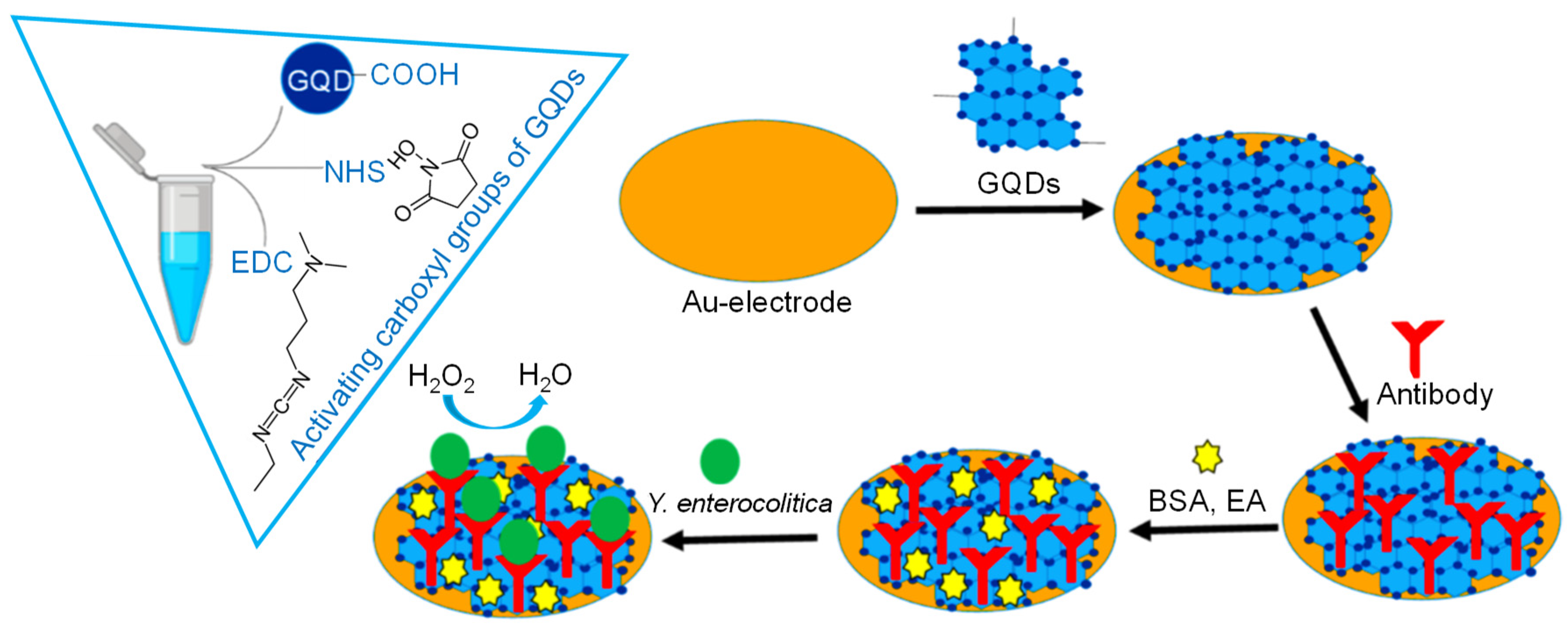 Sensors 20 01072 g023 Sensors 20 01072 g023