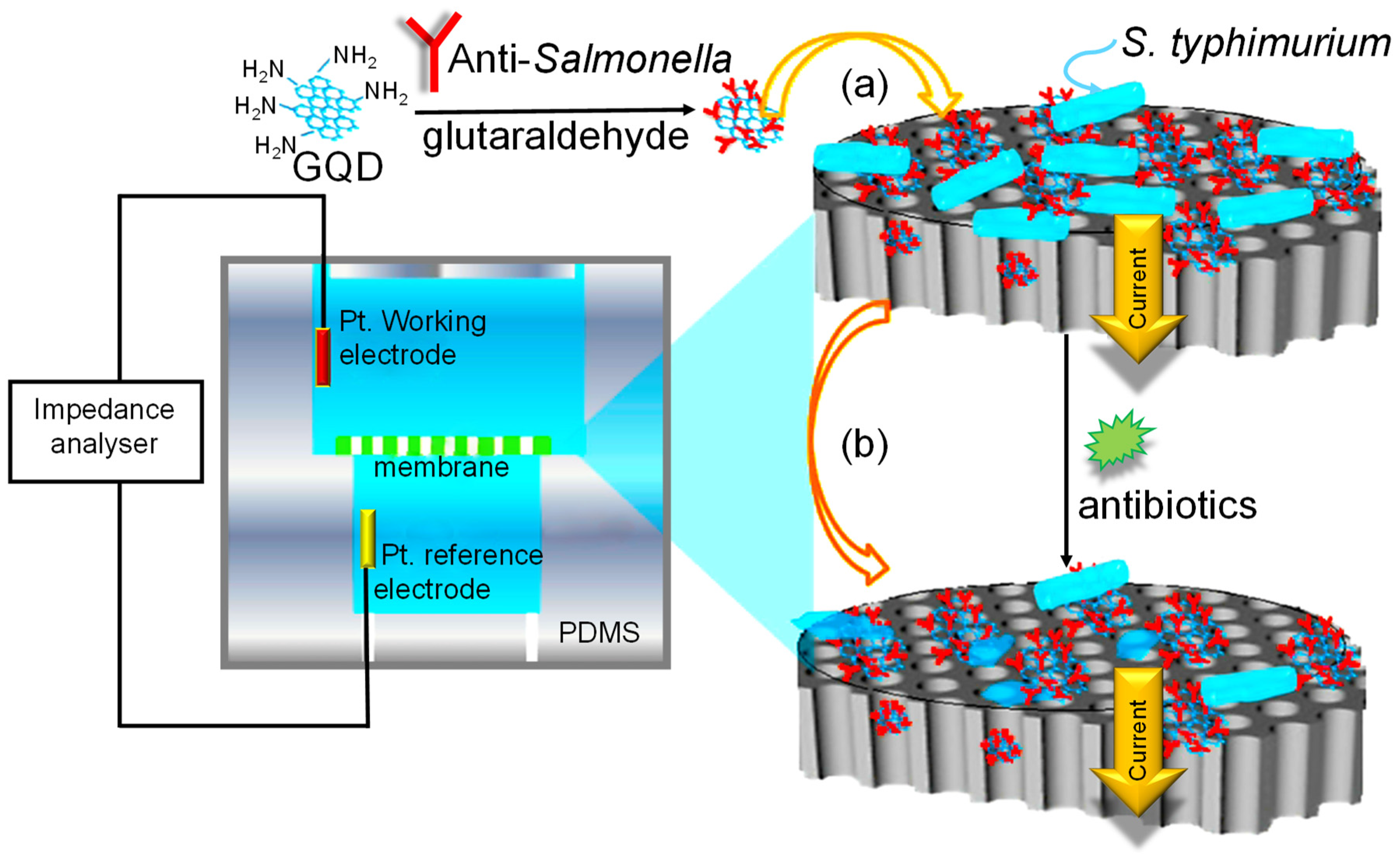 Sensors 20 01072 g027 Sensors 20 01072 g027