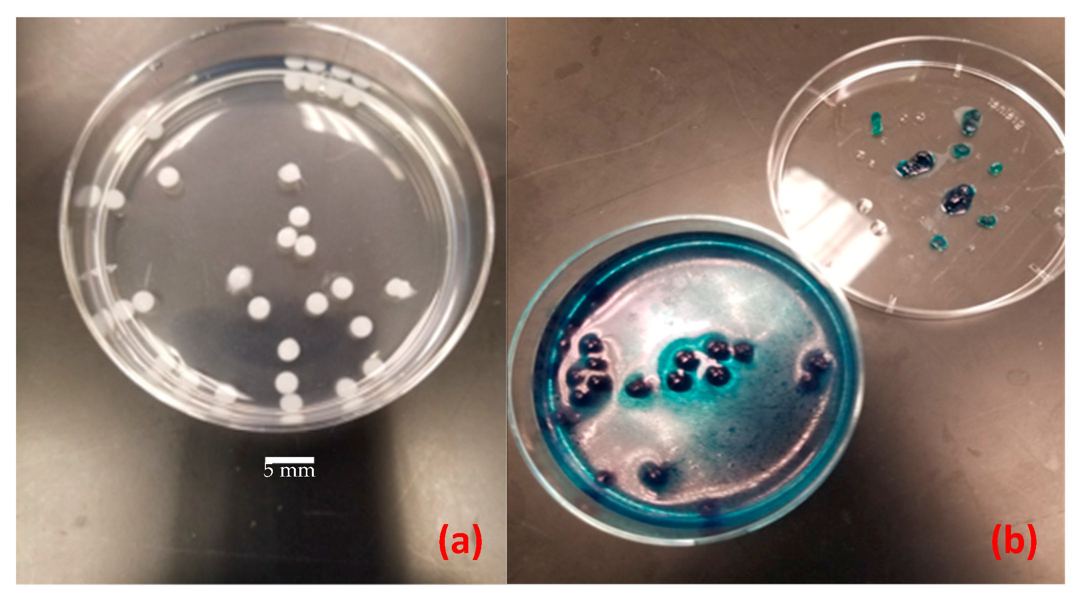 Sensors 20 01145 g004