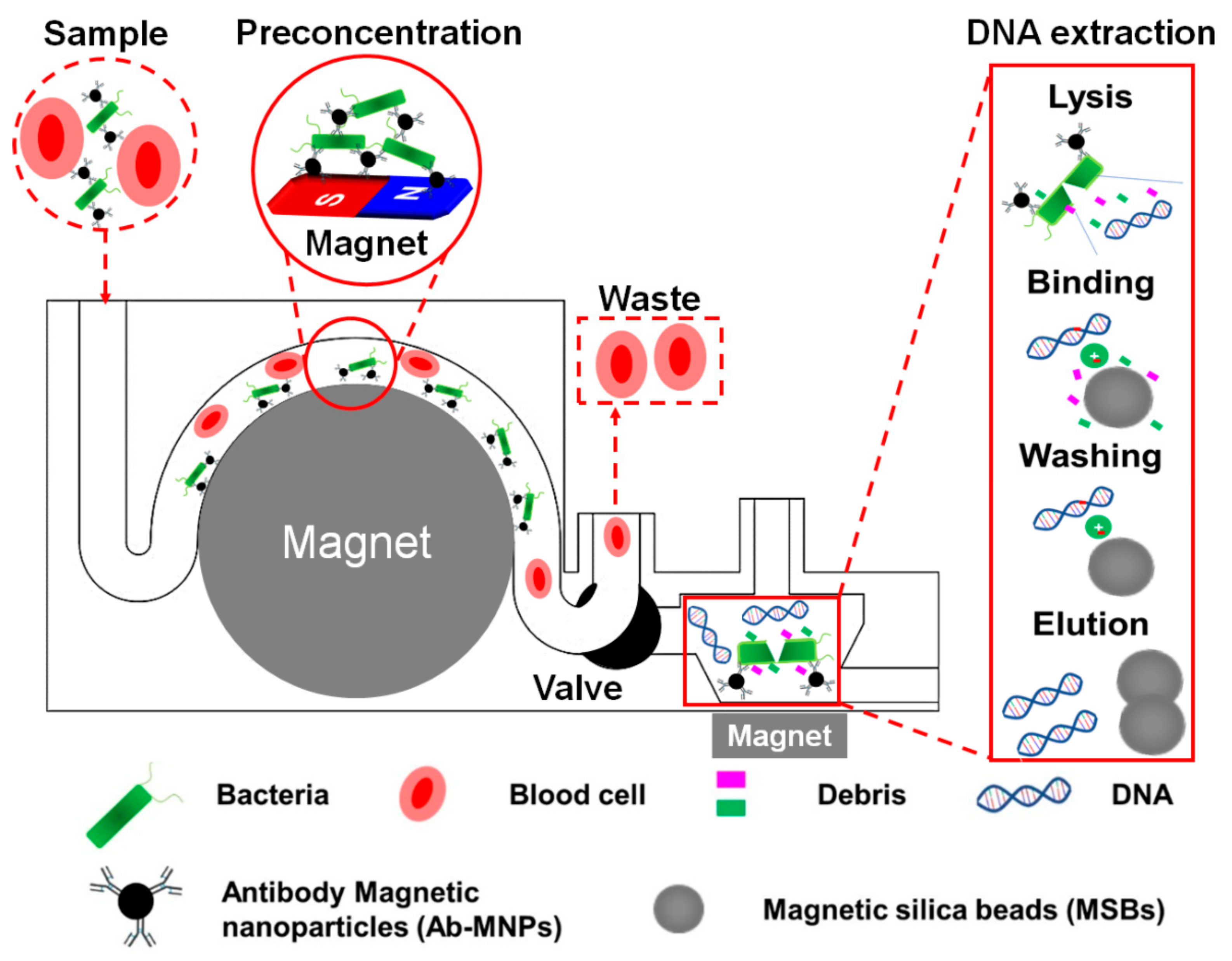 Sensors 20 01202 g001 Sensors 20 01202 g001
