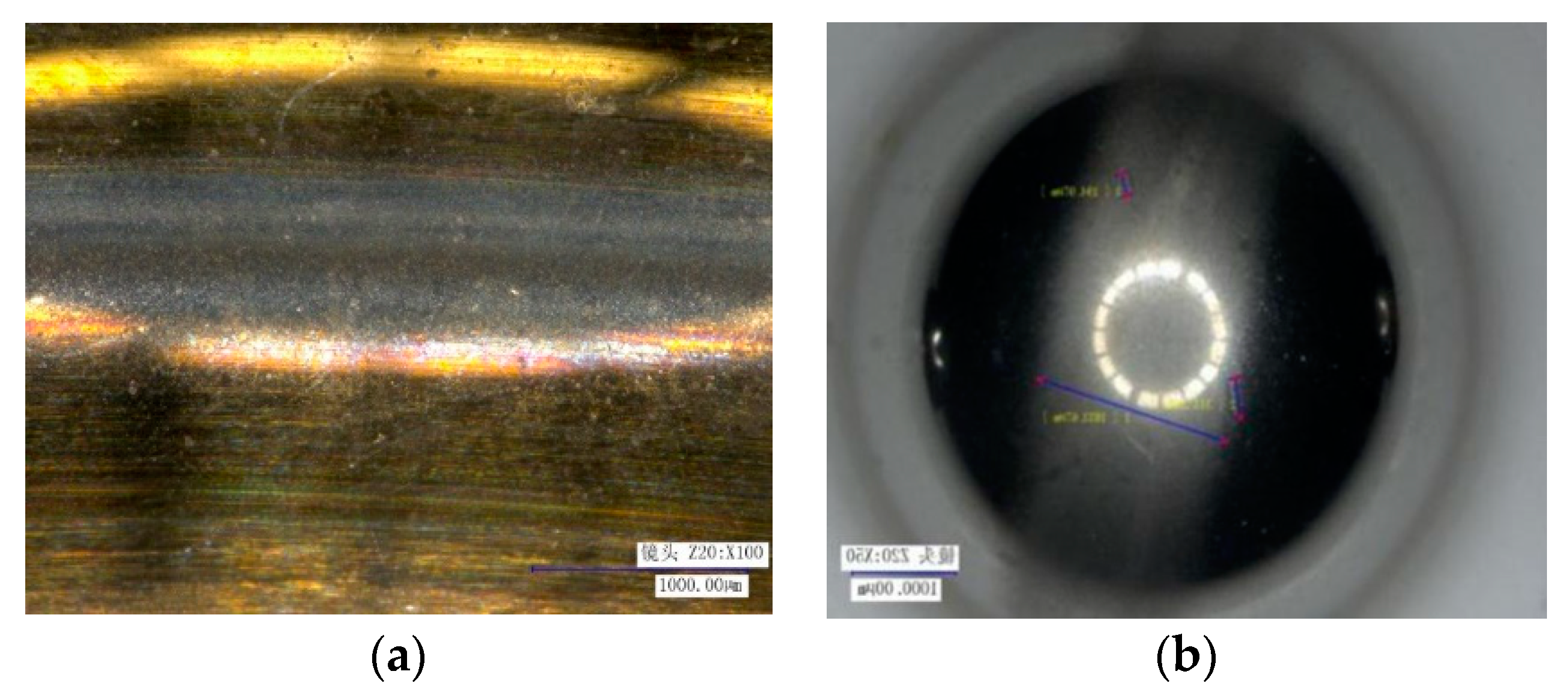Sensors 20 01519 g002 Sensors 20 01519 g002