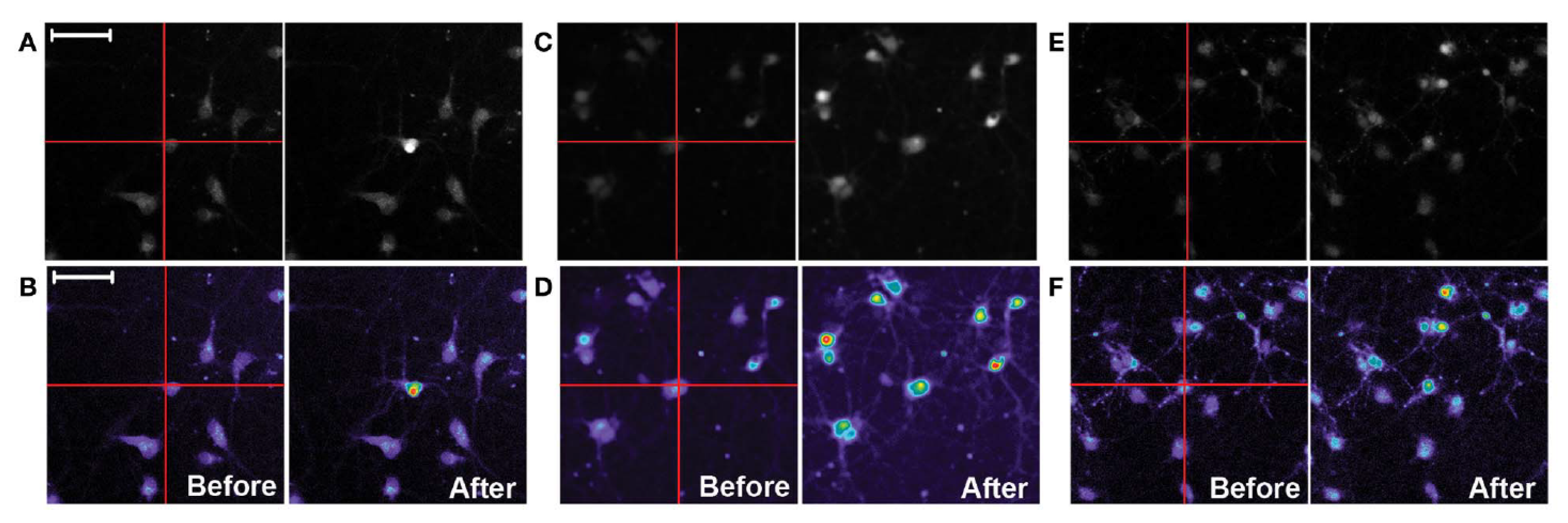 Sensors 20 01680 g004