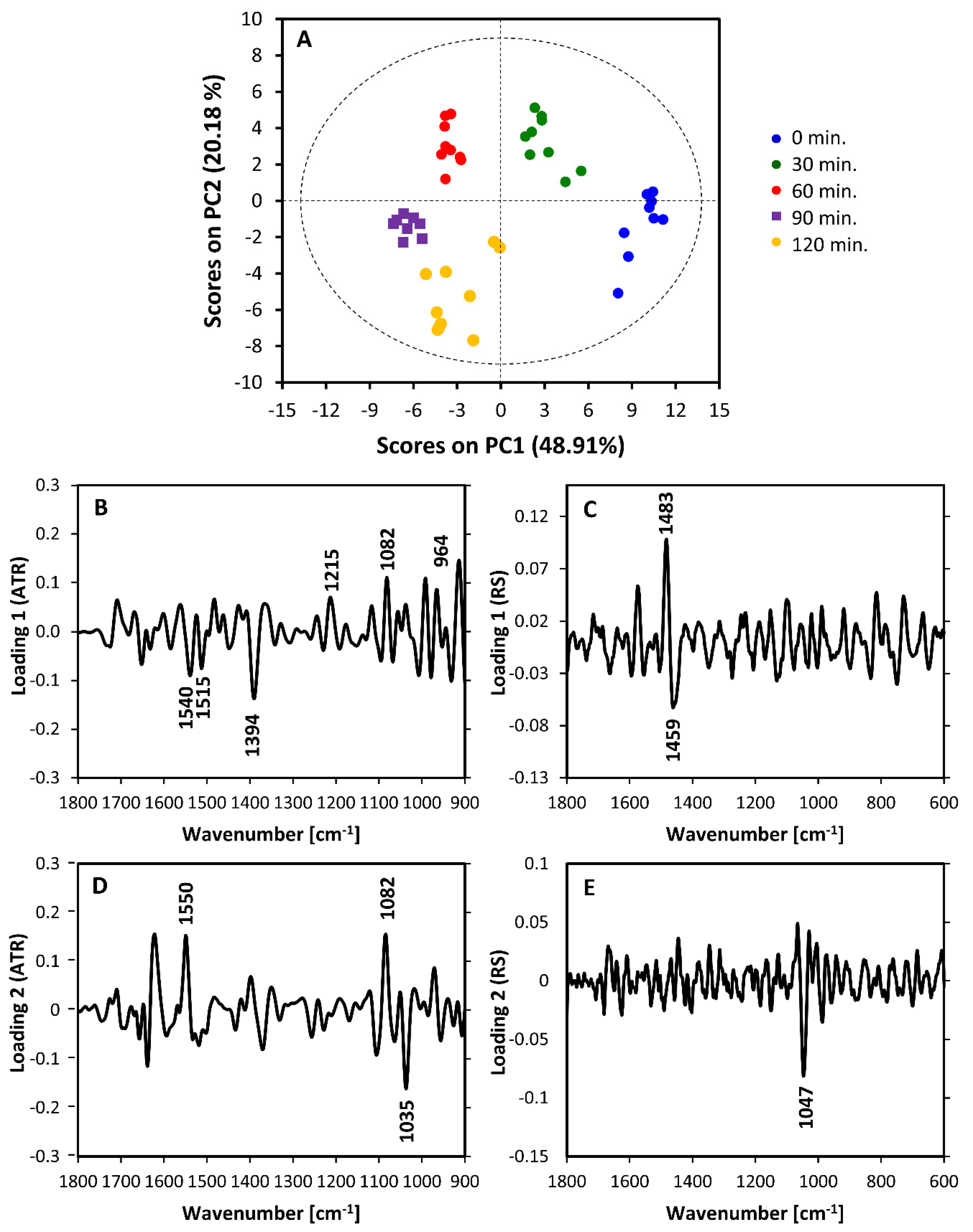 Sensors 20 03452 g005