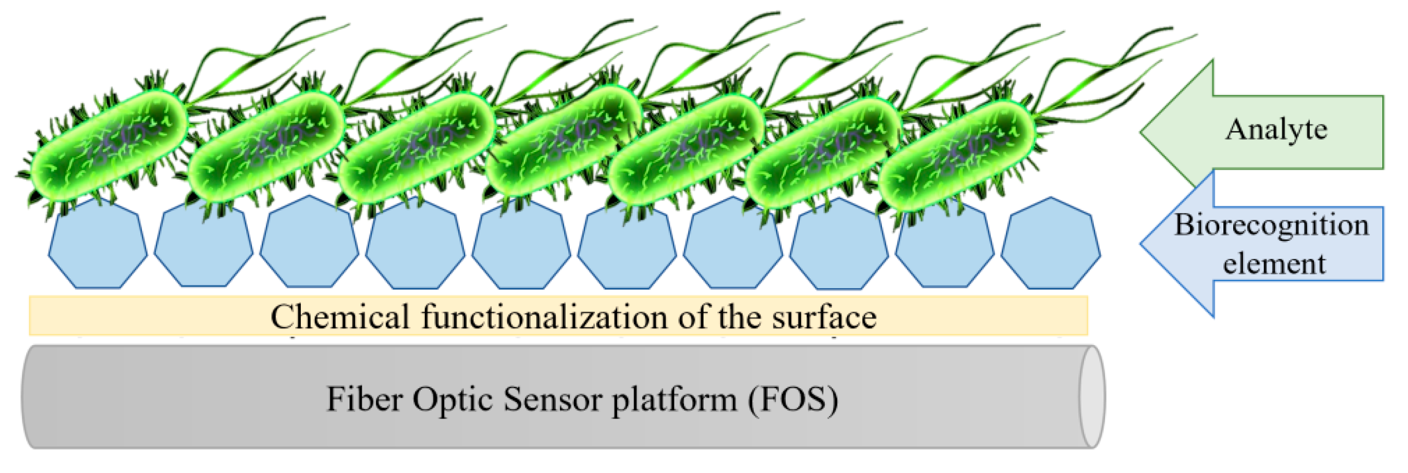 Sensors 20 03772 g008 Sensors 20 03772 g008