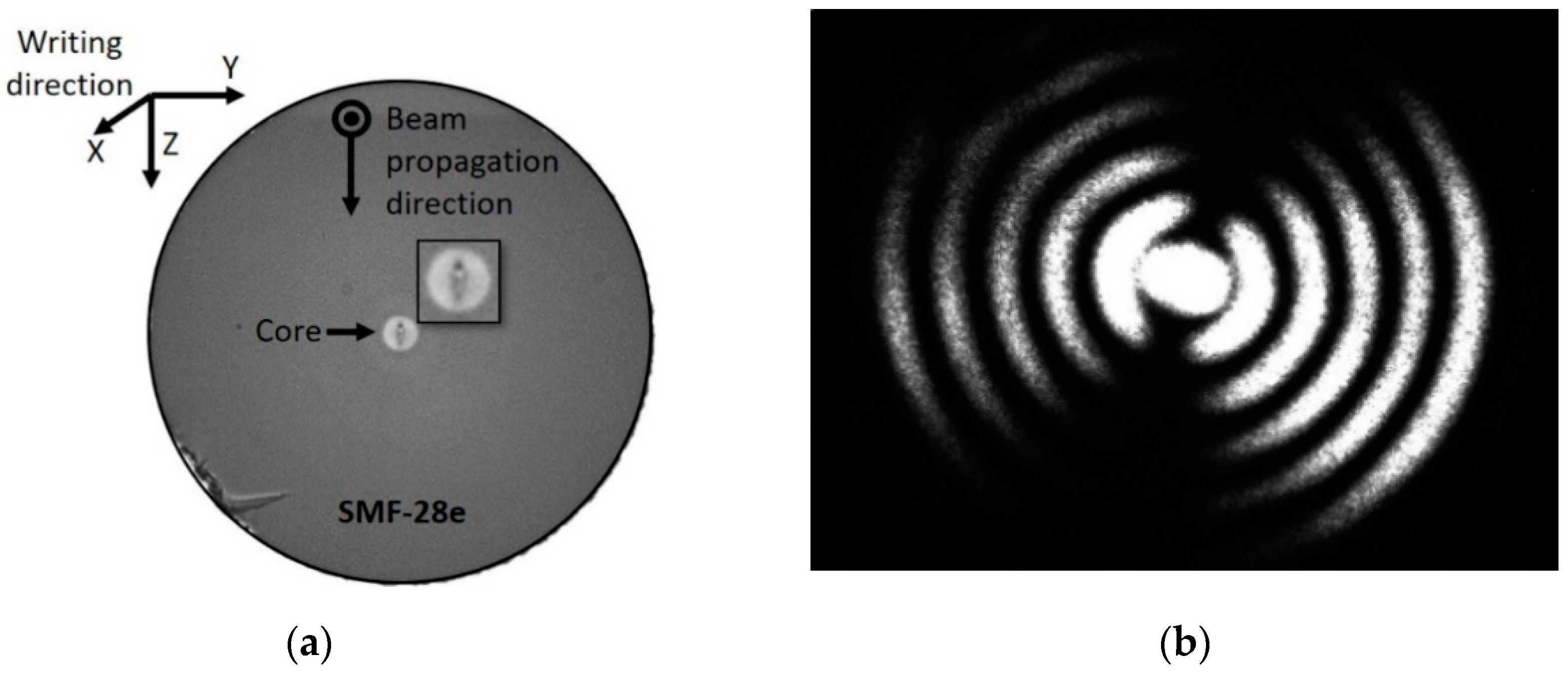 Sensors 20 03898 g004